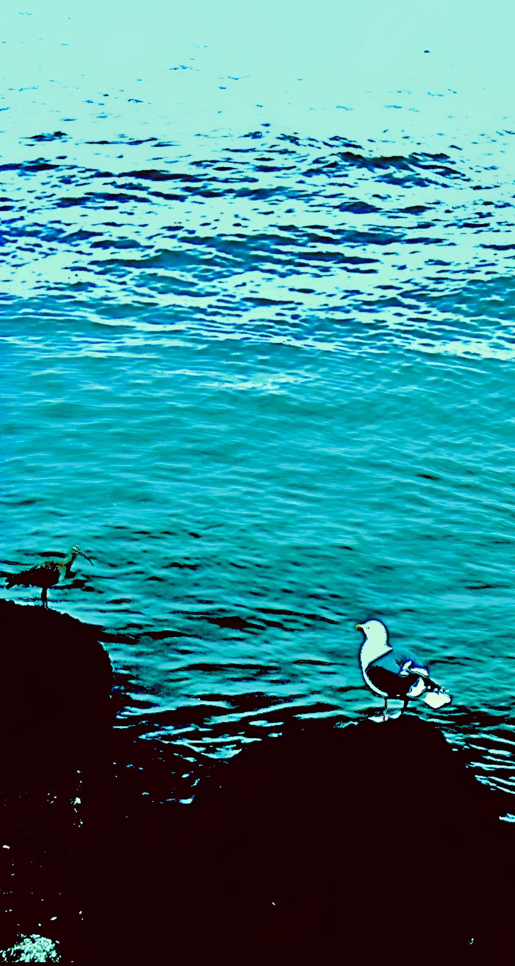 We Two (iv)