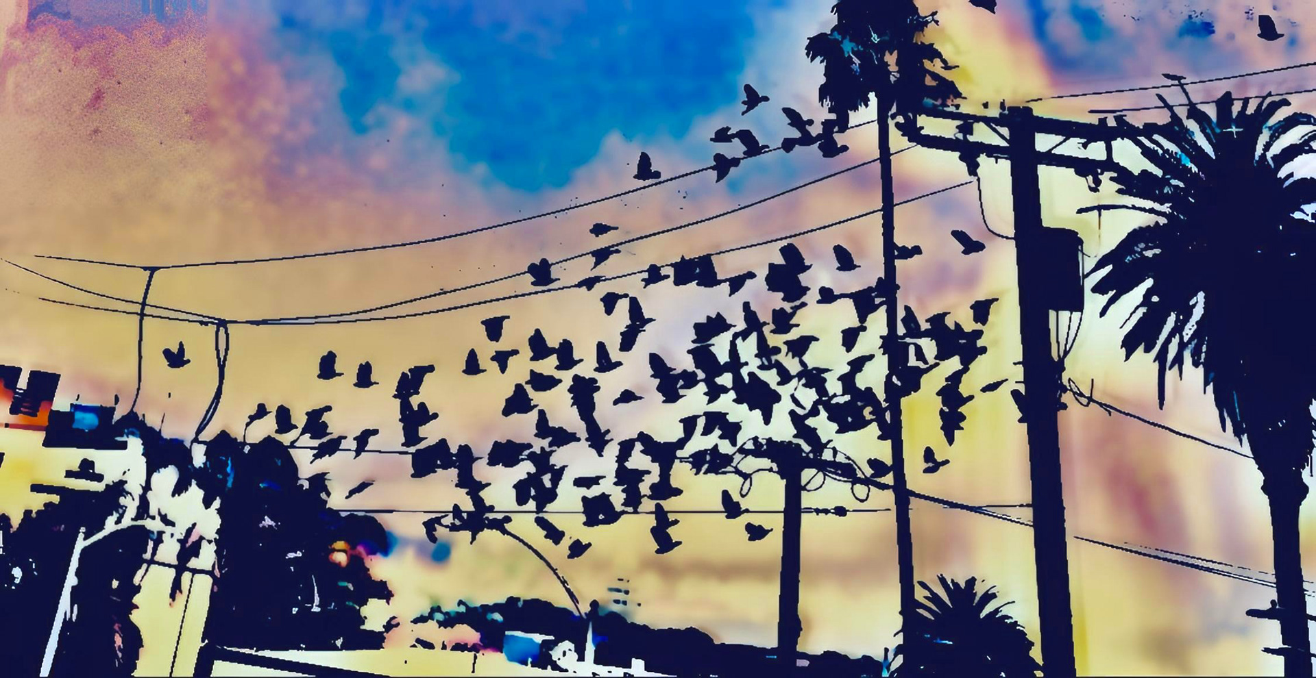 Flying Colors (iii)
