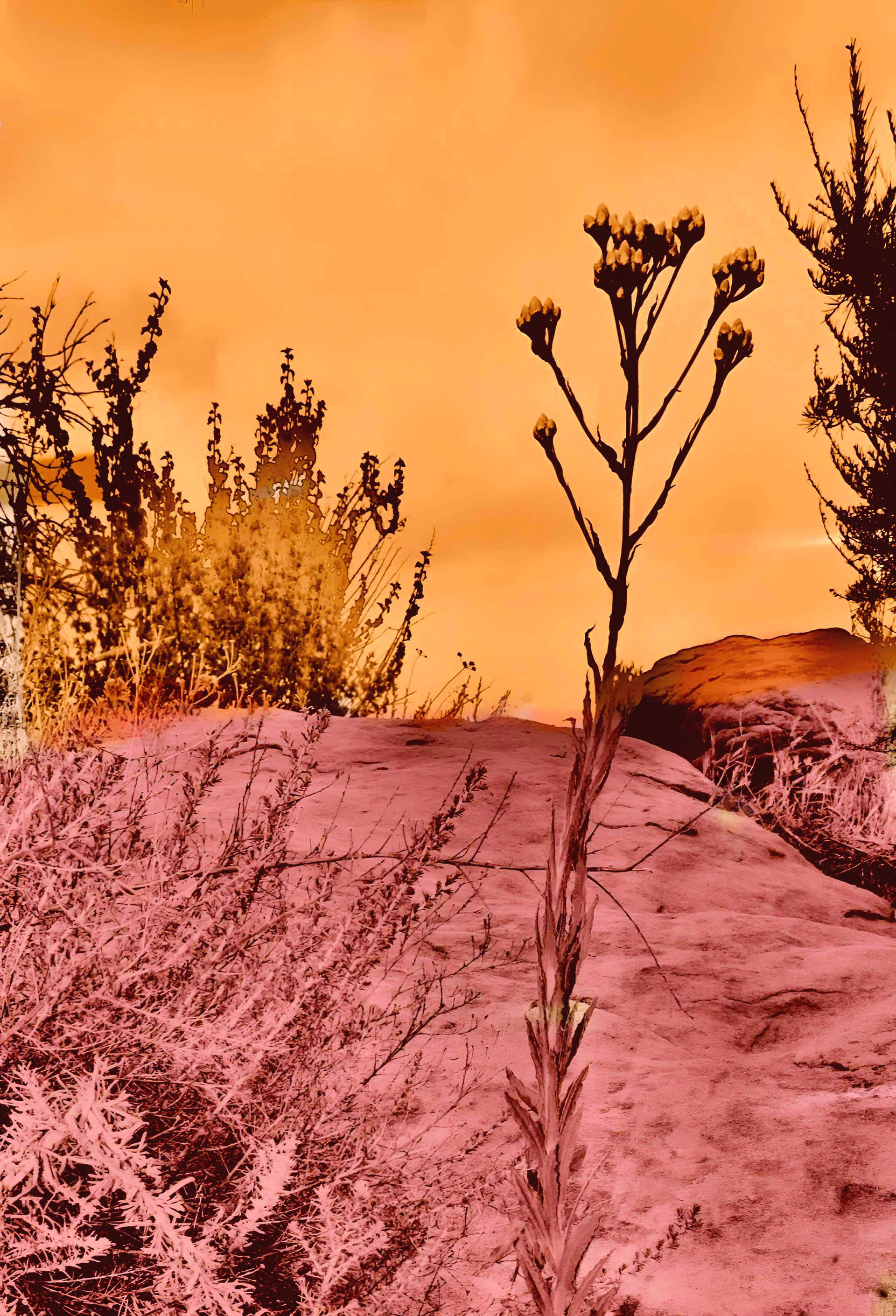 'Everlasting (iv)'