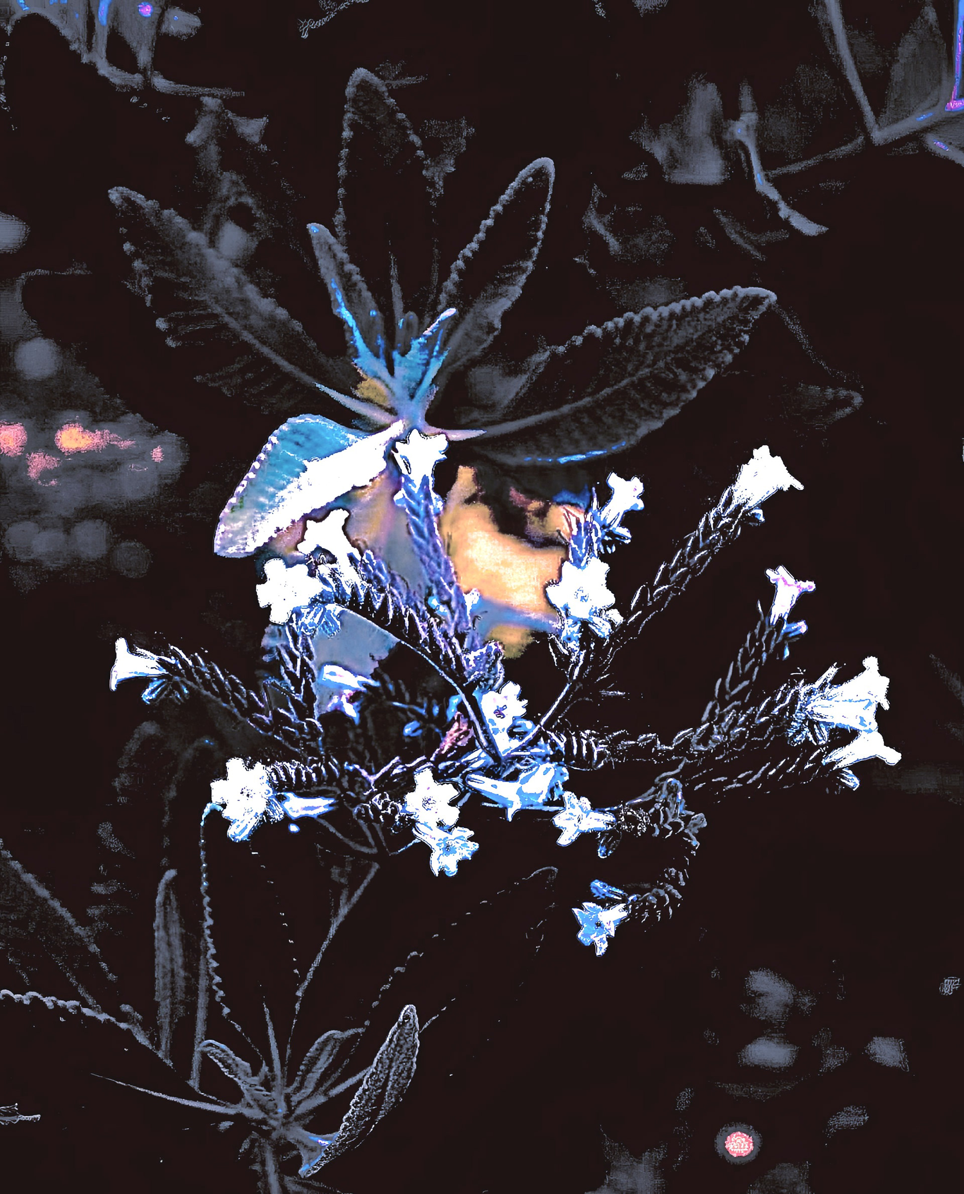 'Rocky Peak - Garden (v)'