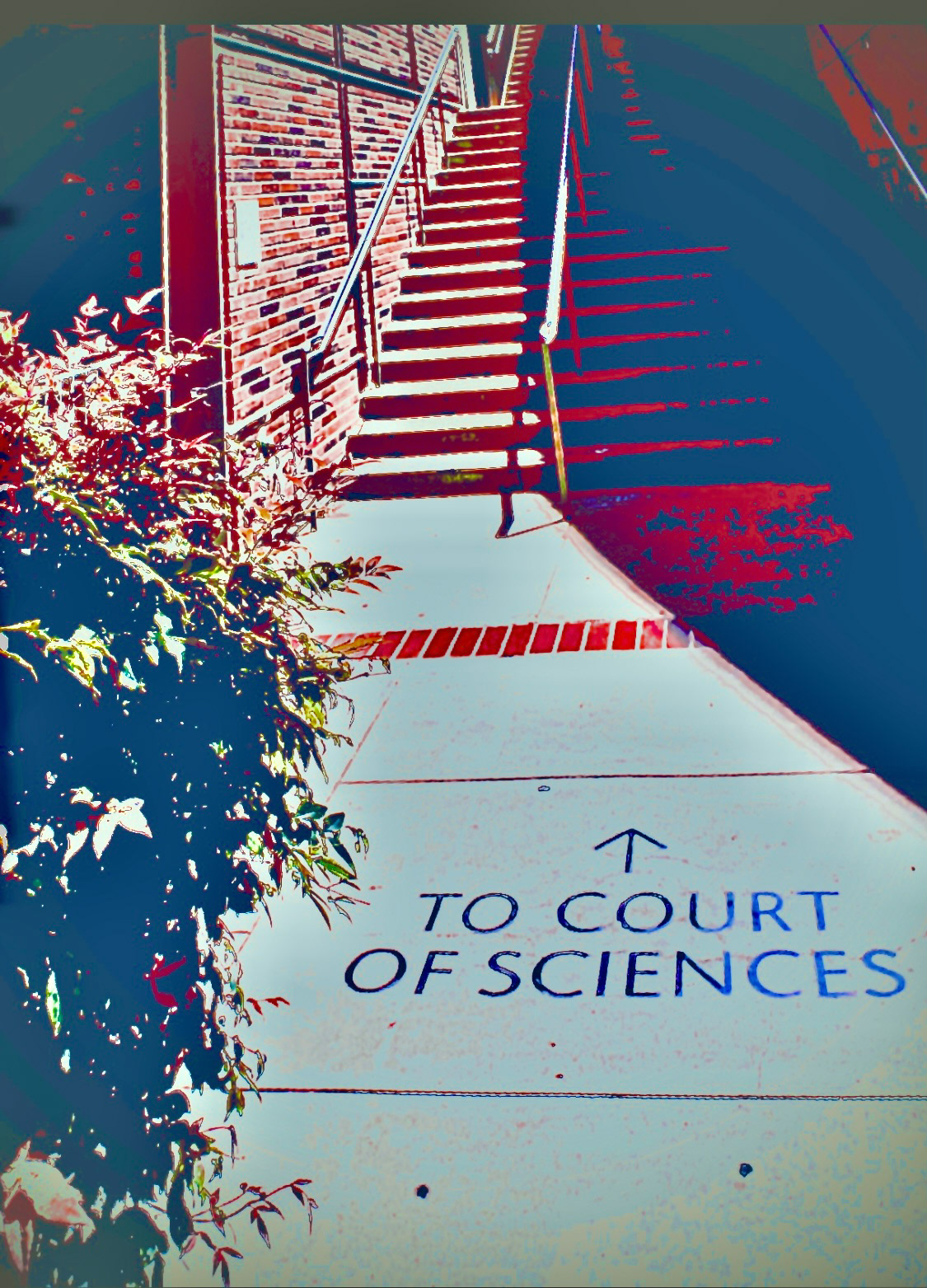 "To the Court..." (ii)