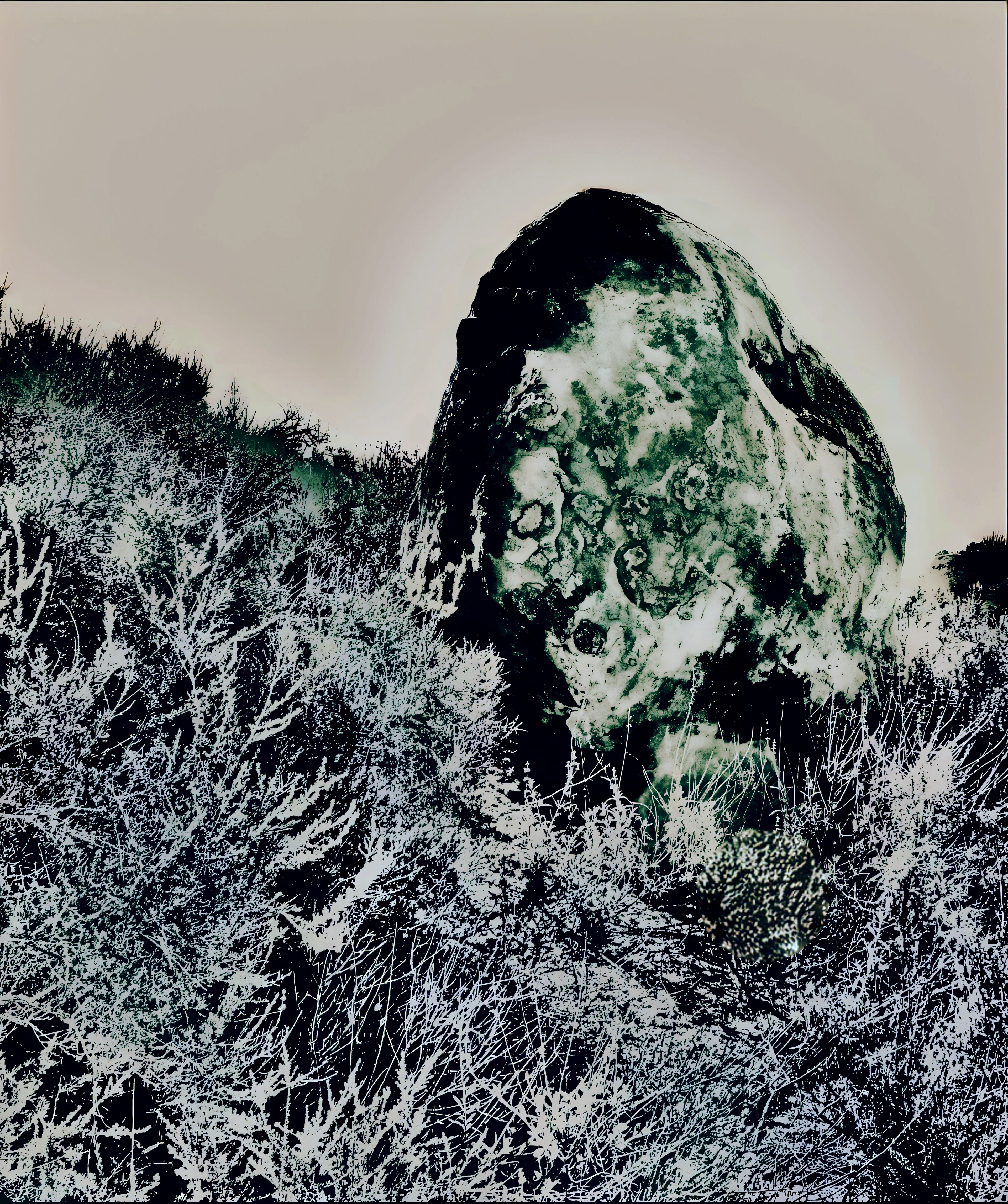 'Nestled Boulder (iii)'