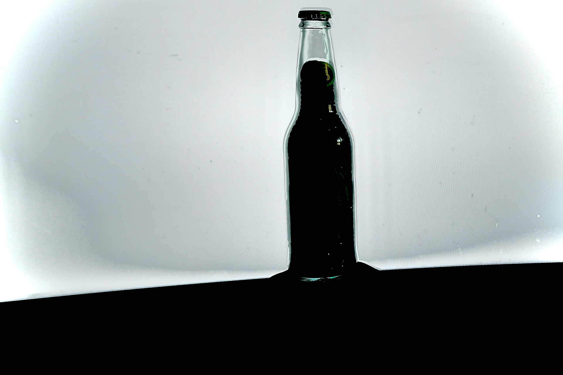 Shadow Bottle (B&W)
