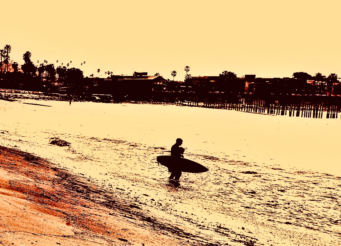 Surfer Joe 2