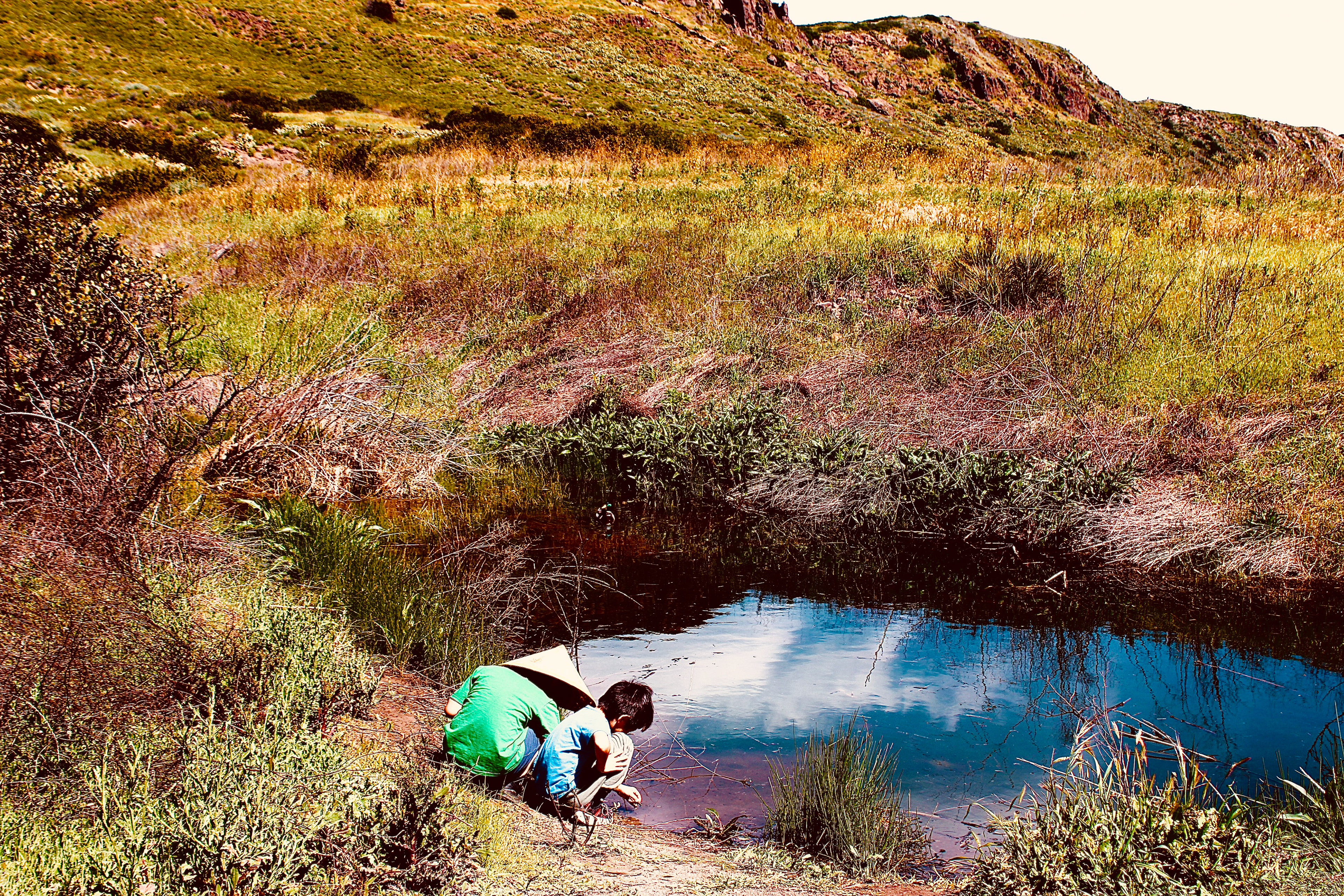 WW Pond (II)
