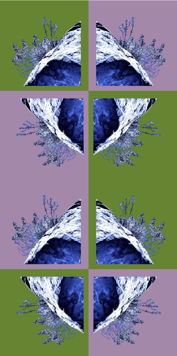 a(2 + 2)
