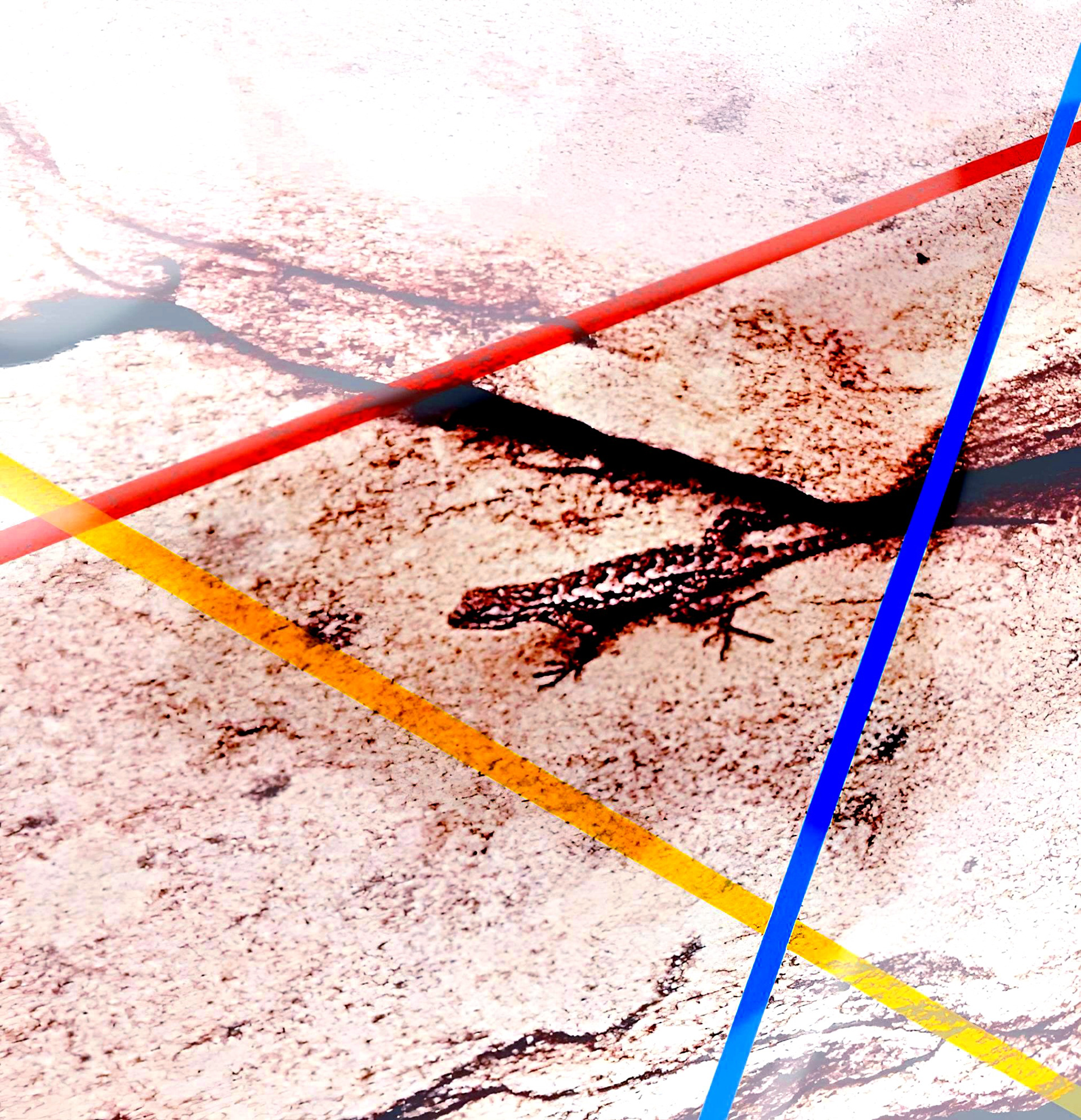 'Lizard Rock (iv)'