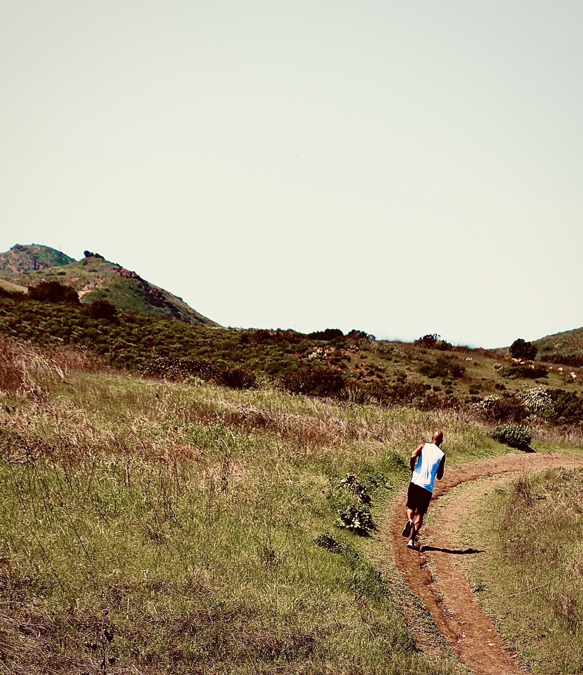 WW - Trail Runner