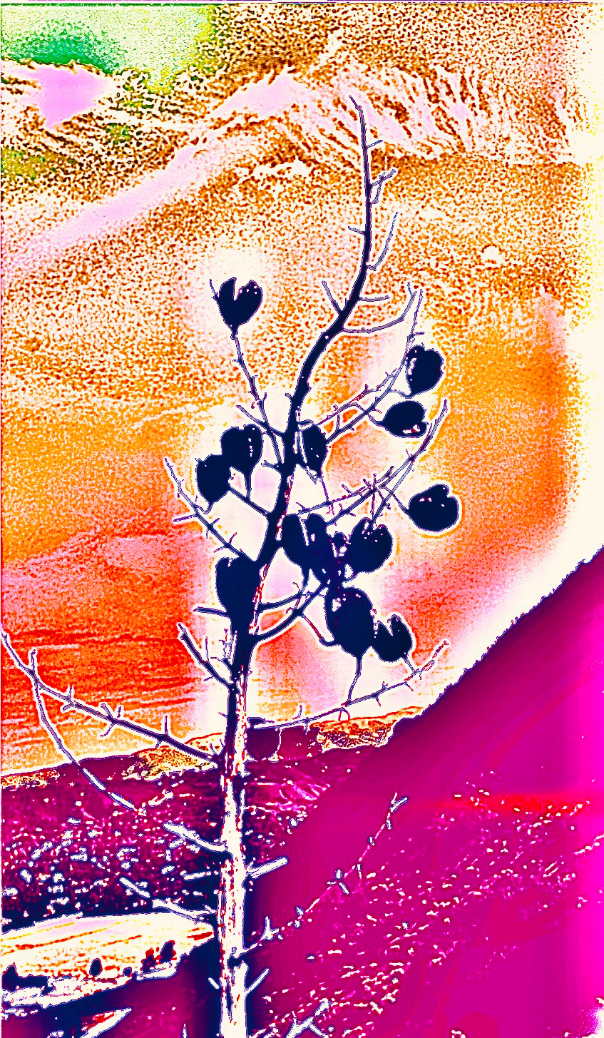 WW - Color Study (VIII)