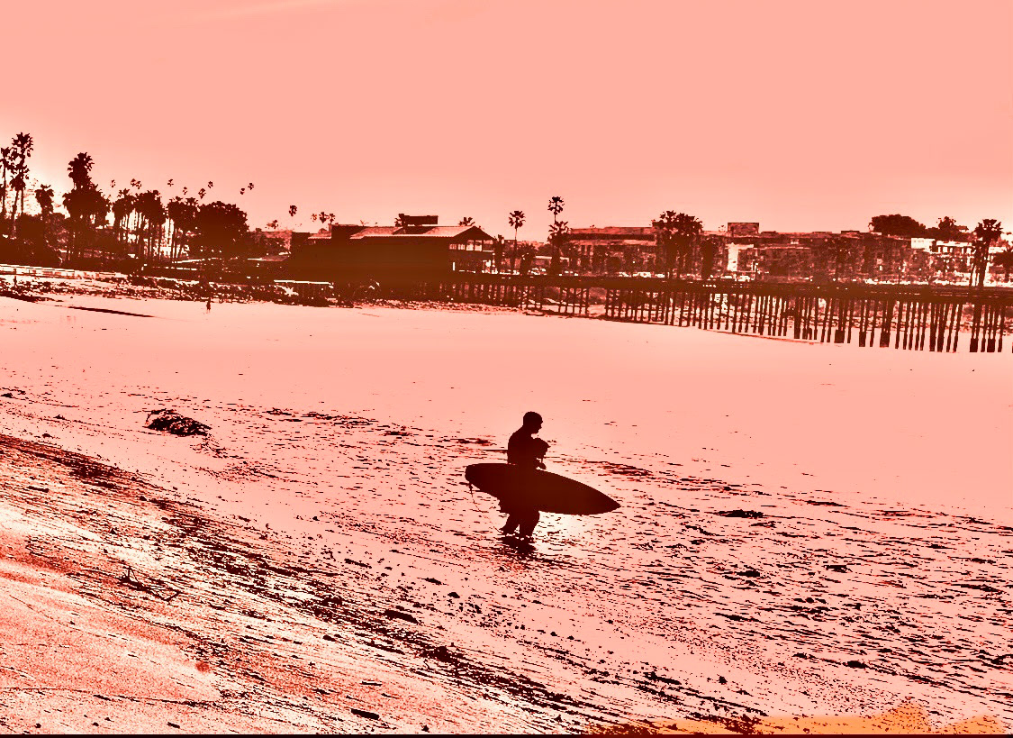 Surfer Joe 2