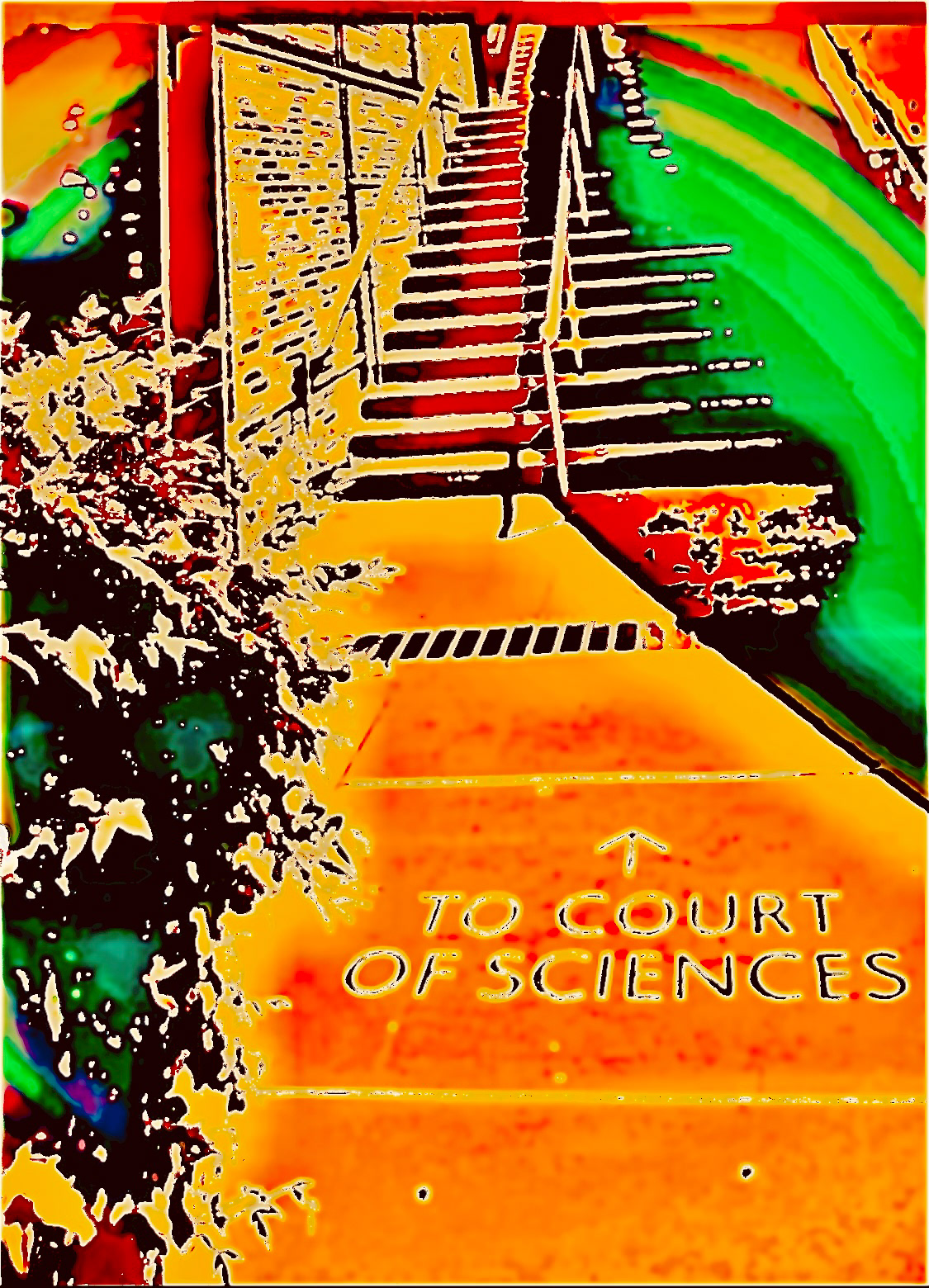 "To the Court..." (iv)