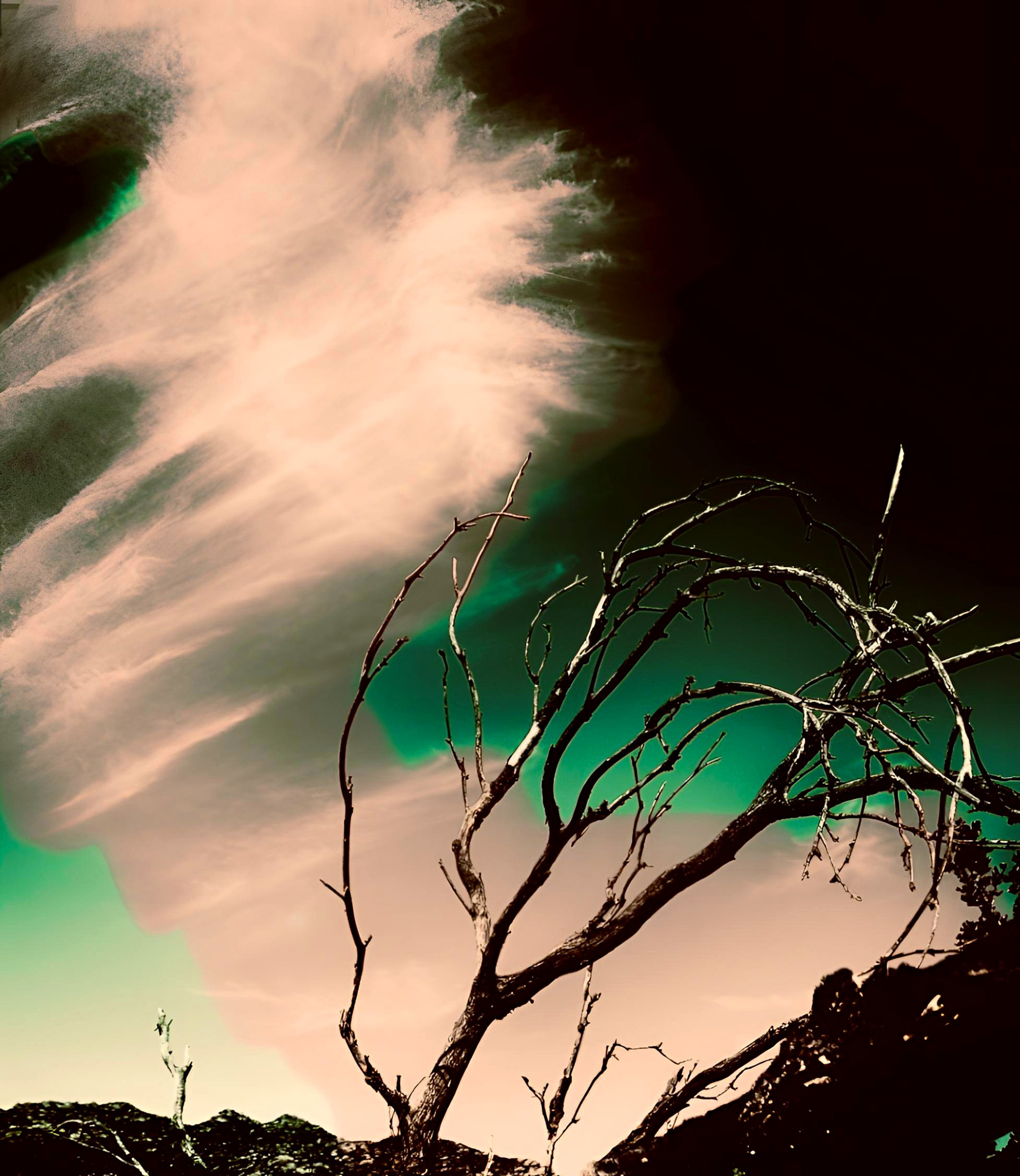 False Aurora (green)