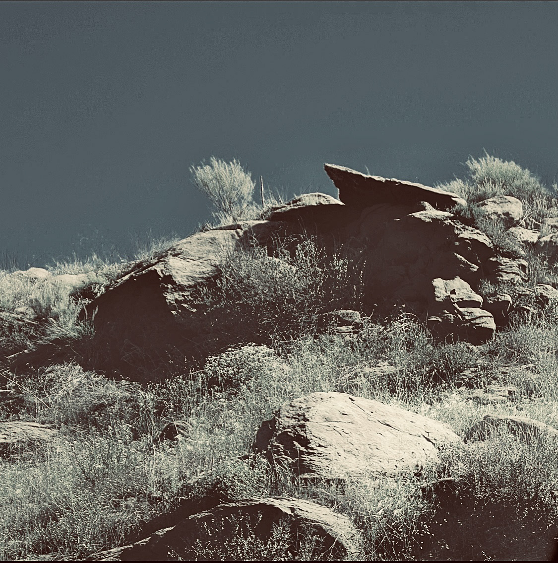 Outcrop, Santa Susana Trail  (iv)