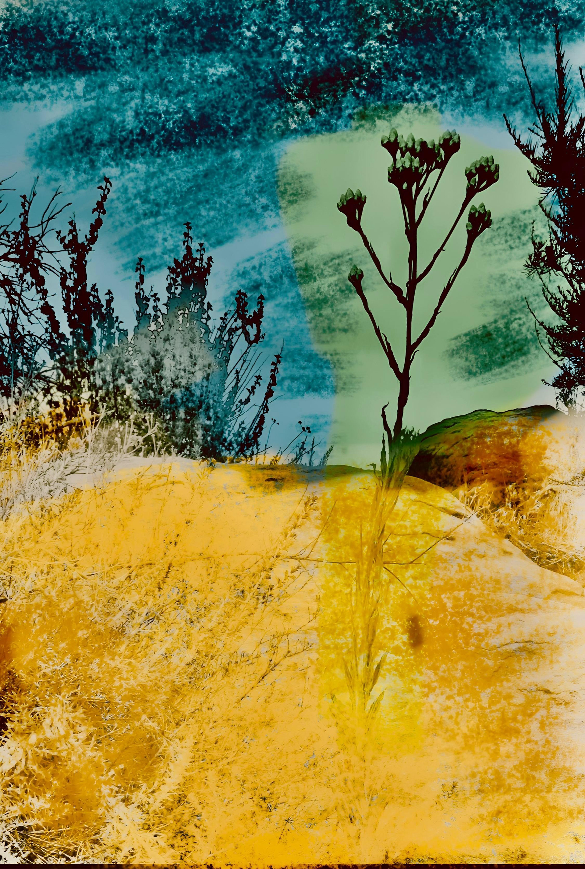 'Everlasting (vi)'
