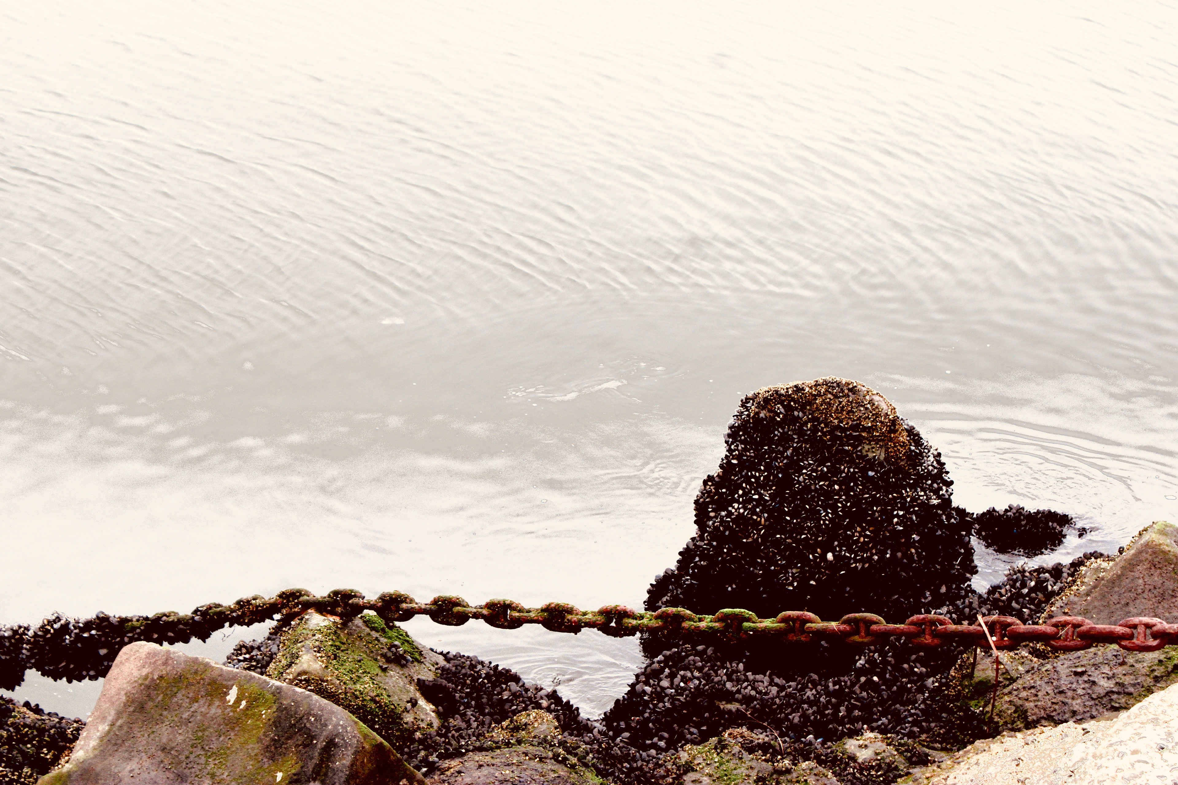 Jetty Chain, Marina Del Rey (i)