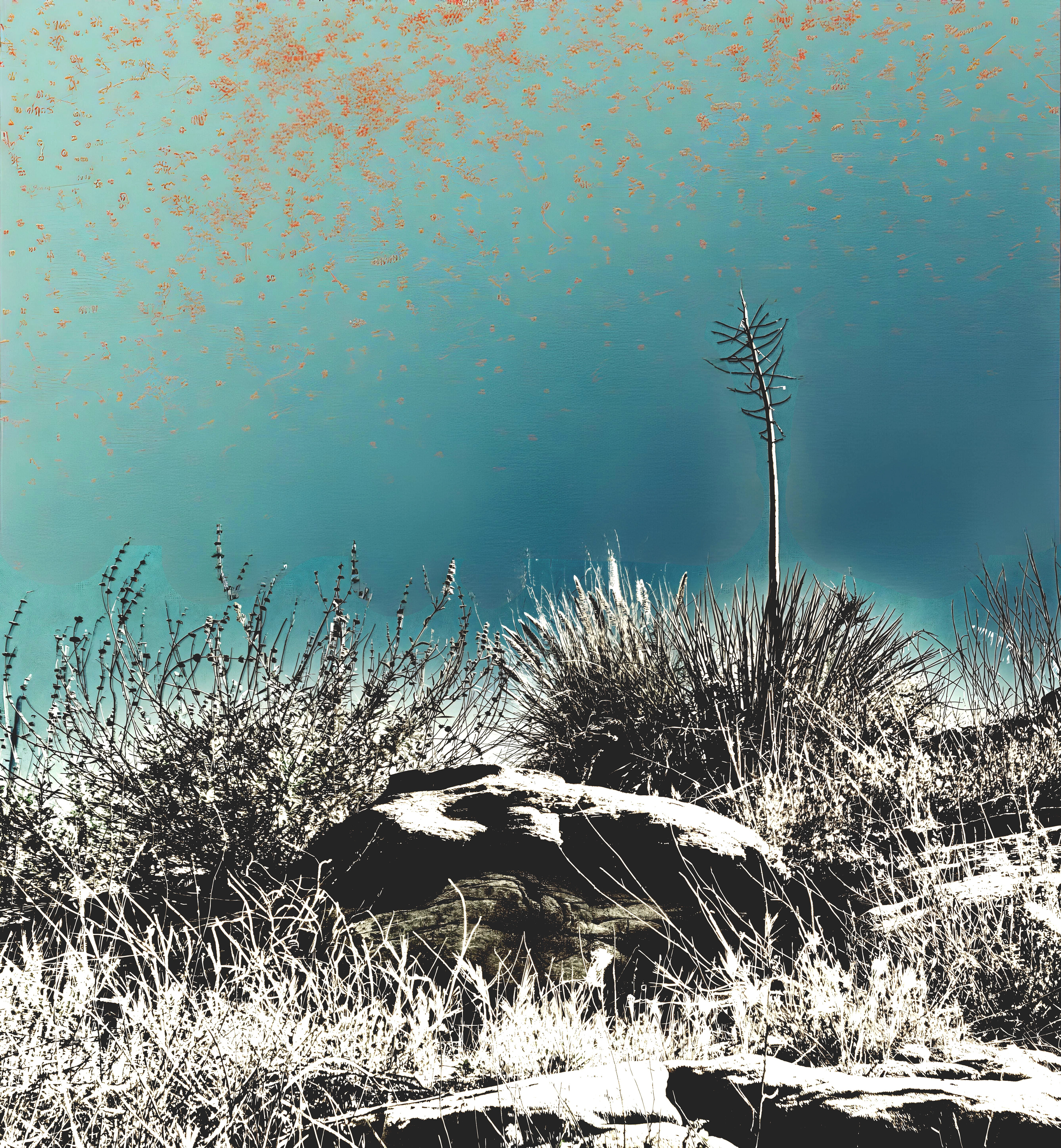 Yucca and Stone (iv)
