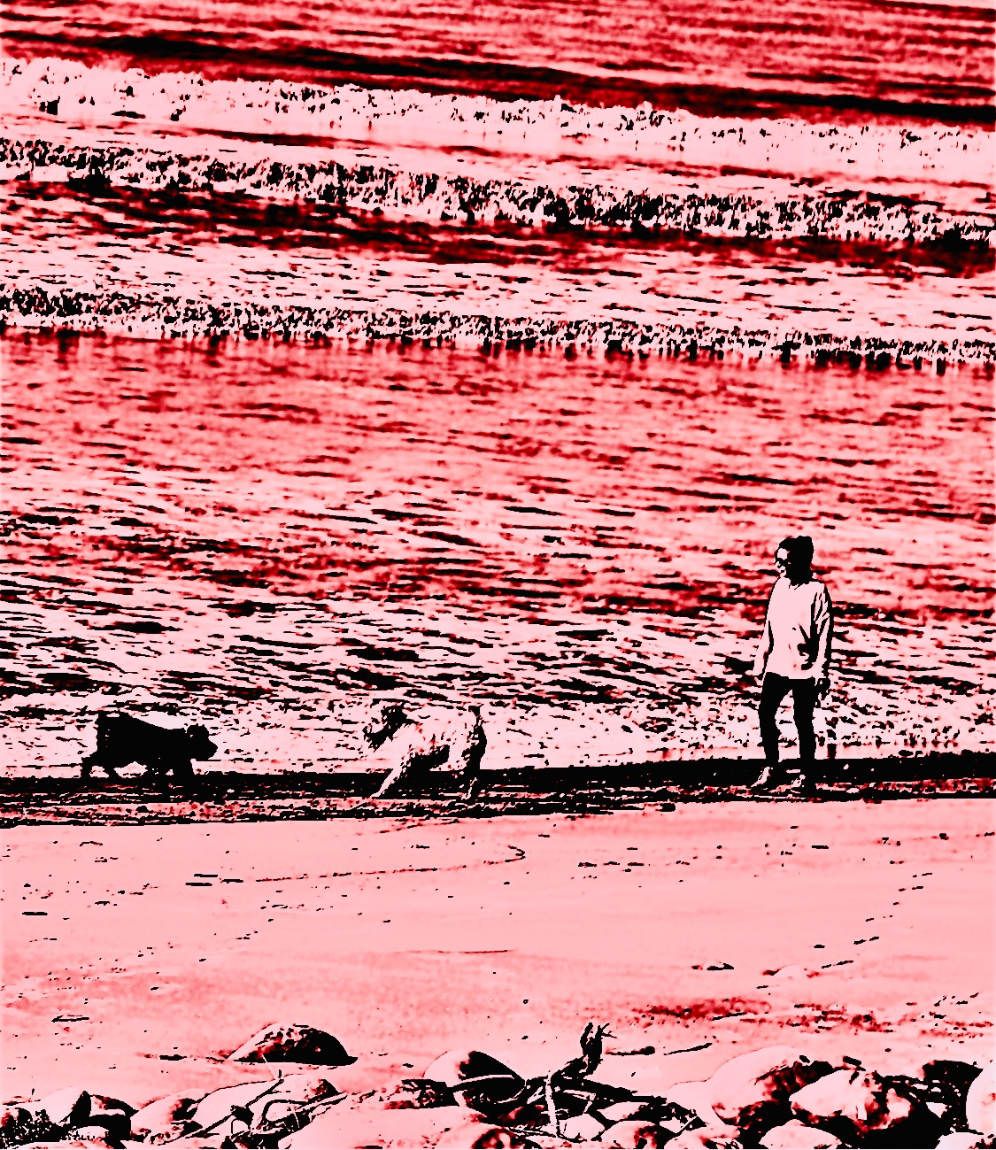 Walk with Two Dogs - Ventura