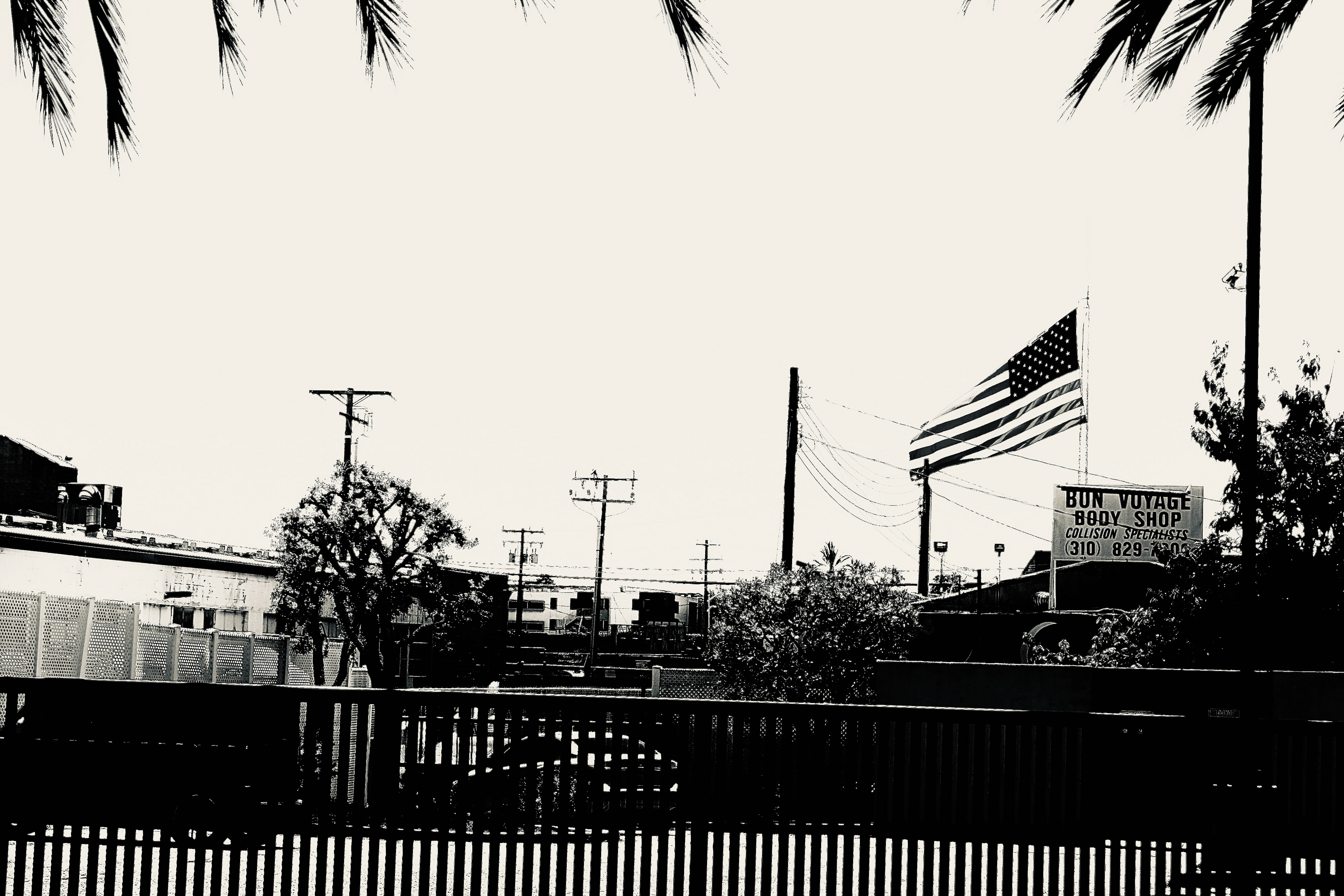 Giant Flag (B&W)