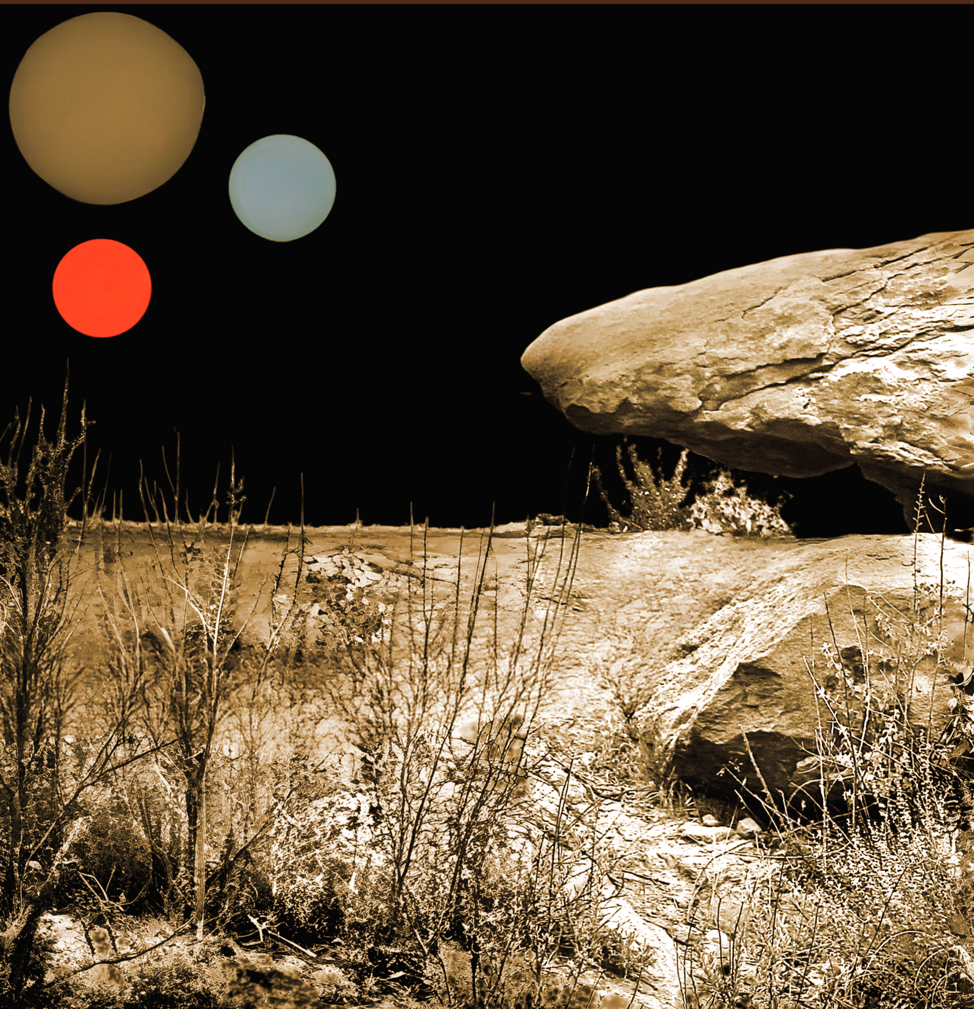 'Color Field at Rocky Peak (c)'