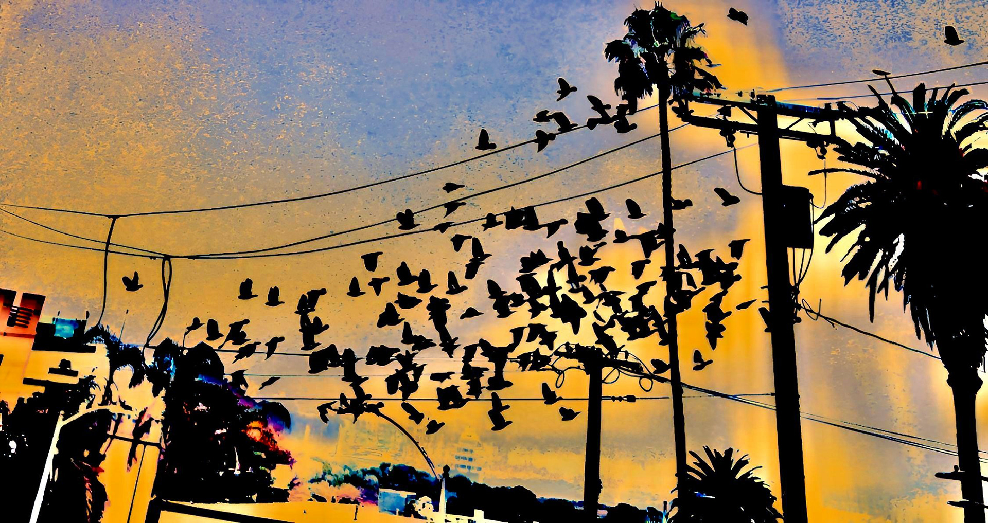 Flying Colors (iv)