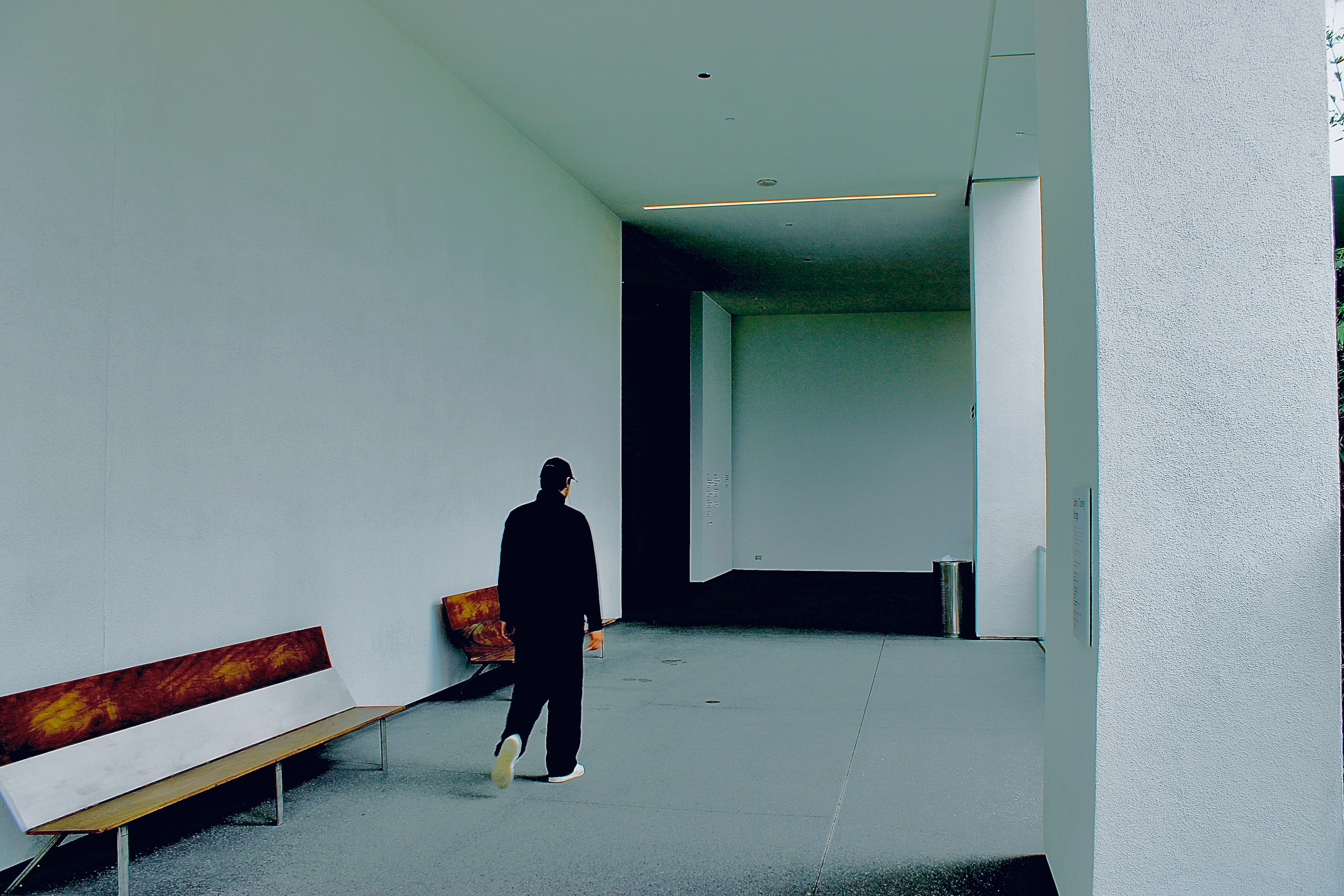 Corridor, Hammer Museum (i)