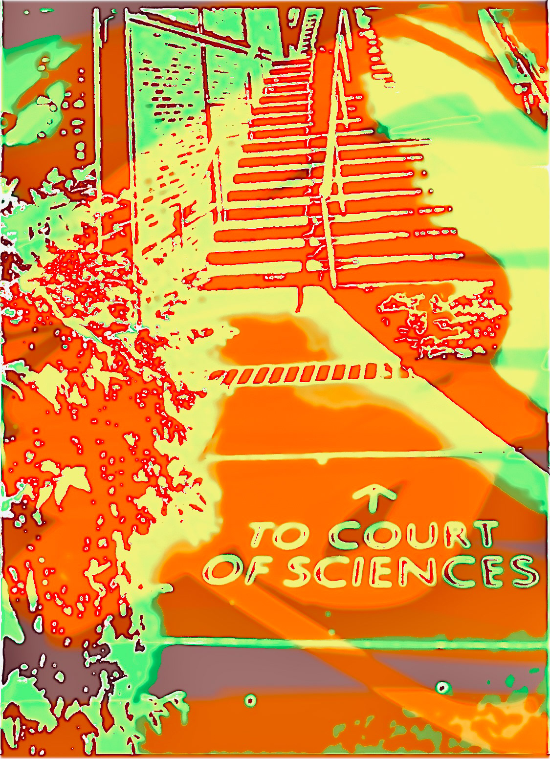 "To the Court..." (vi)