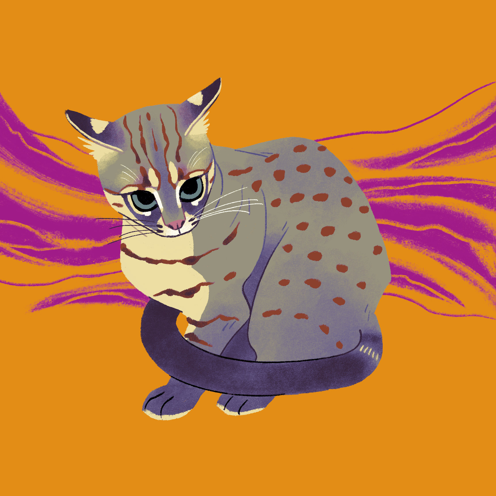 Rusty-Spotted Cat