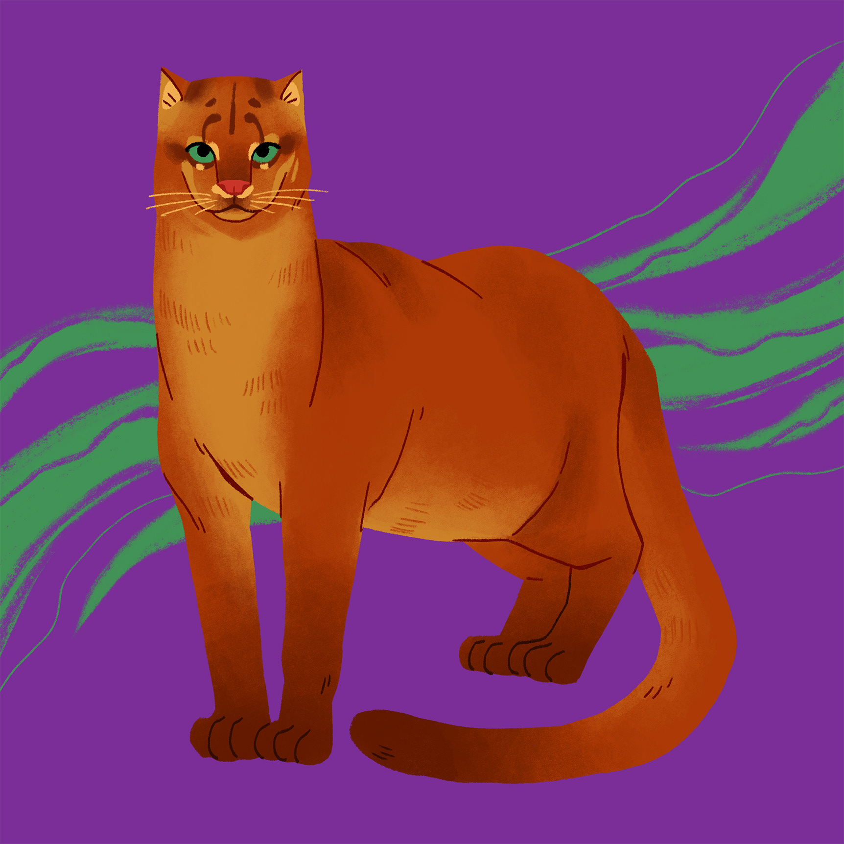 Borneo-Gold Cat