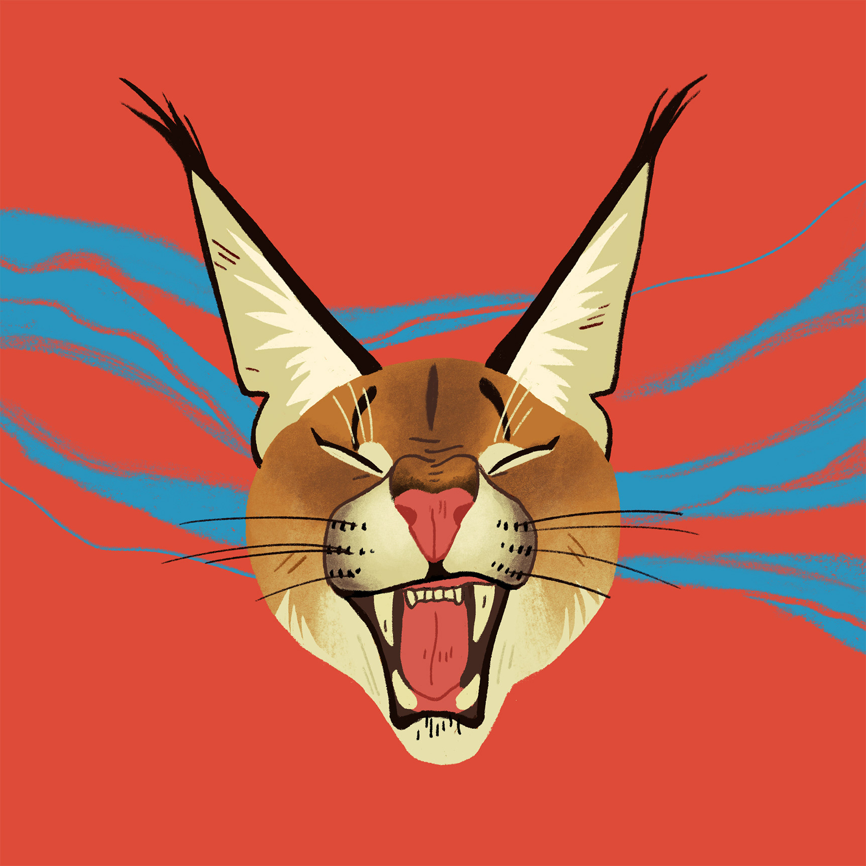 Caracal