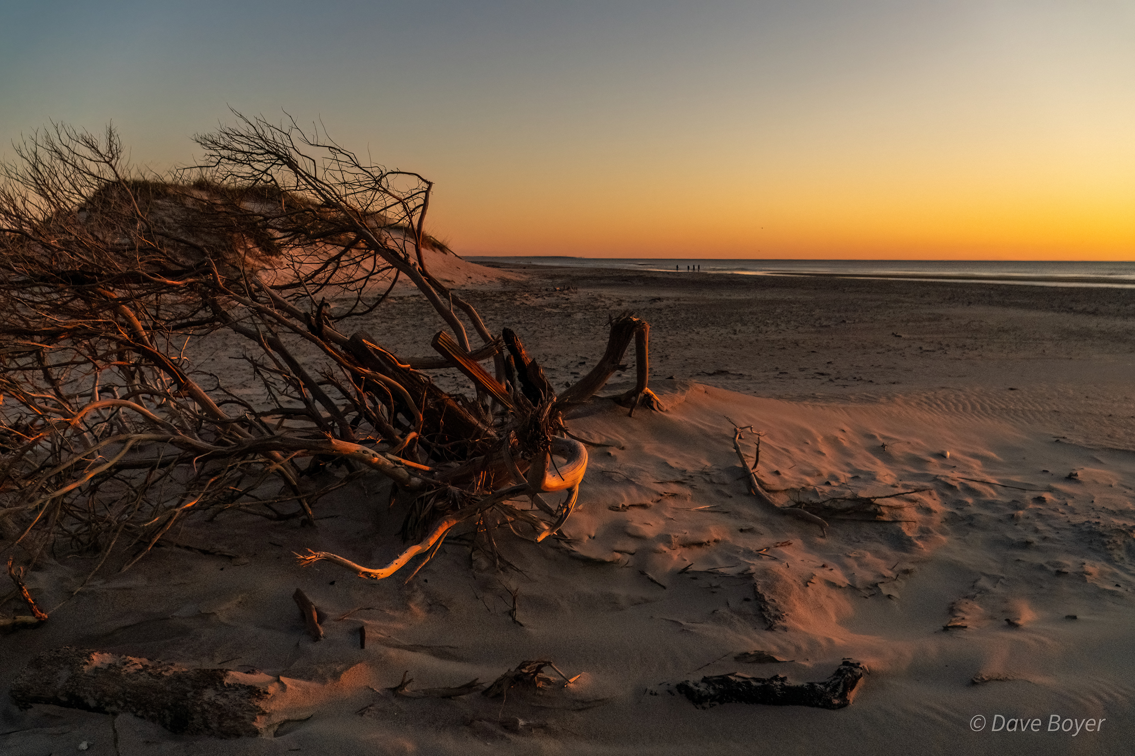 Cape Fear, N.C.