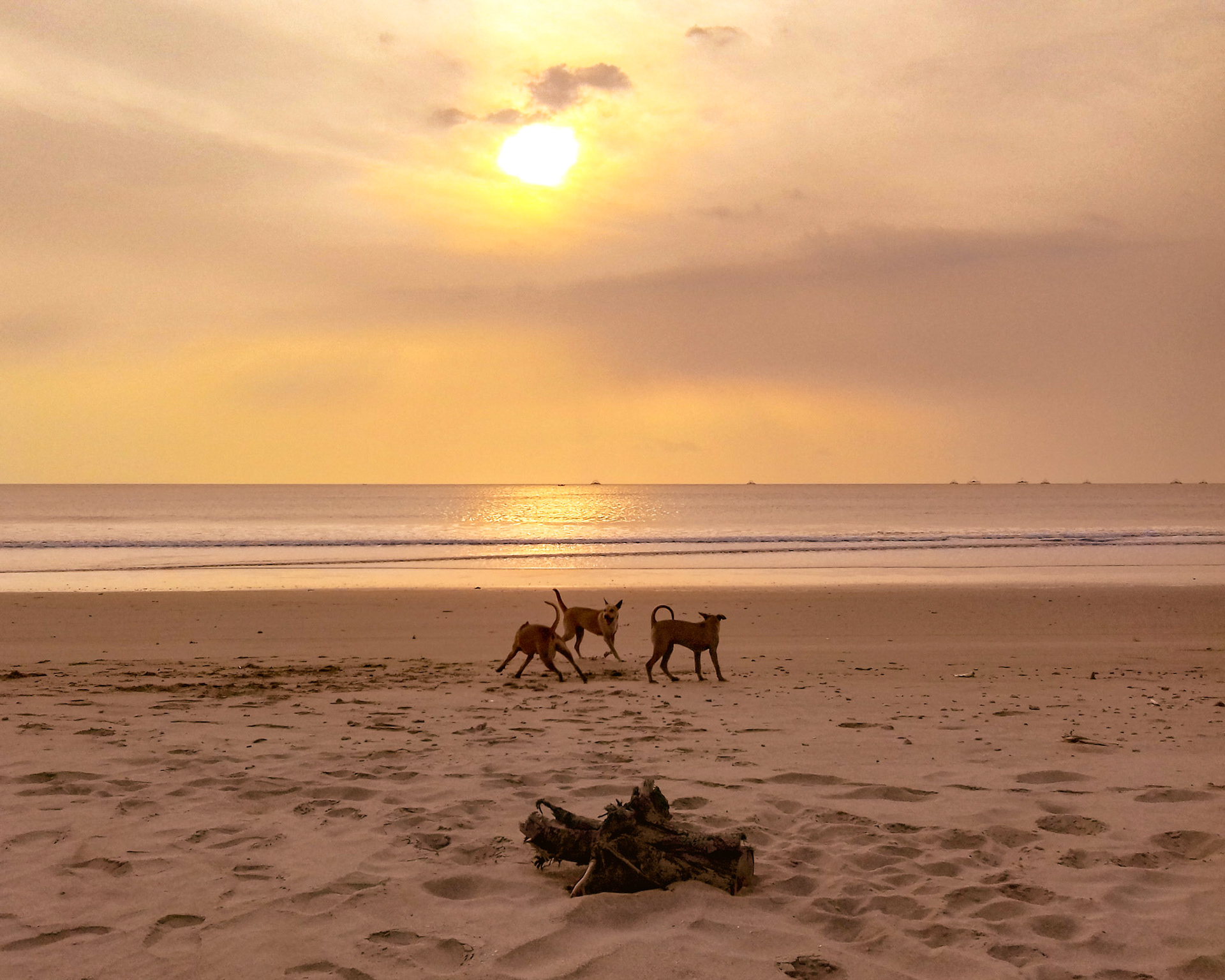 Banyuasih Village, 2019