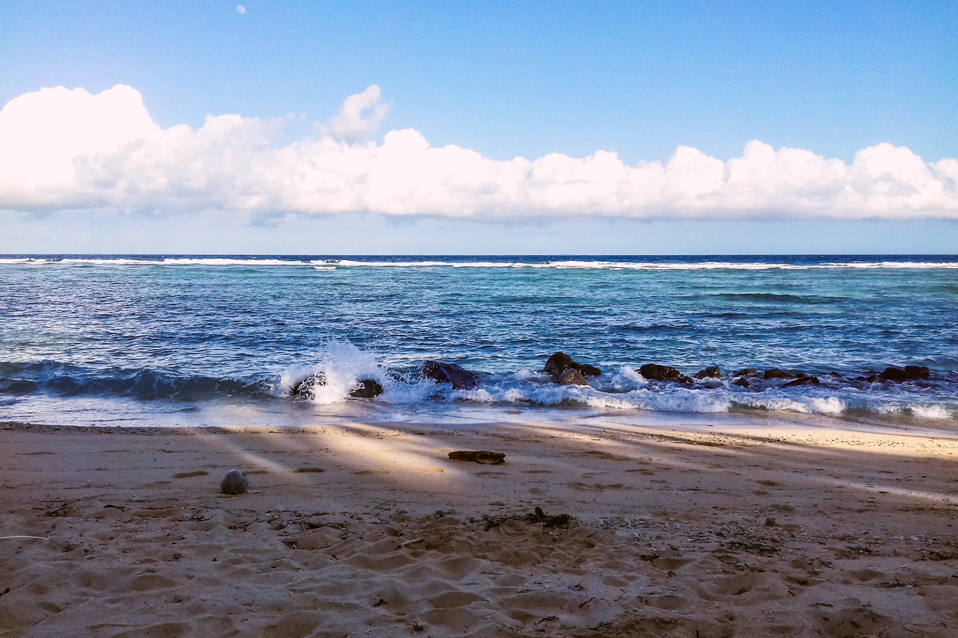 Marore Island, 2019