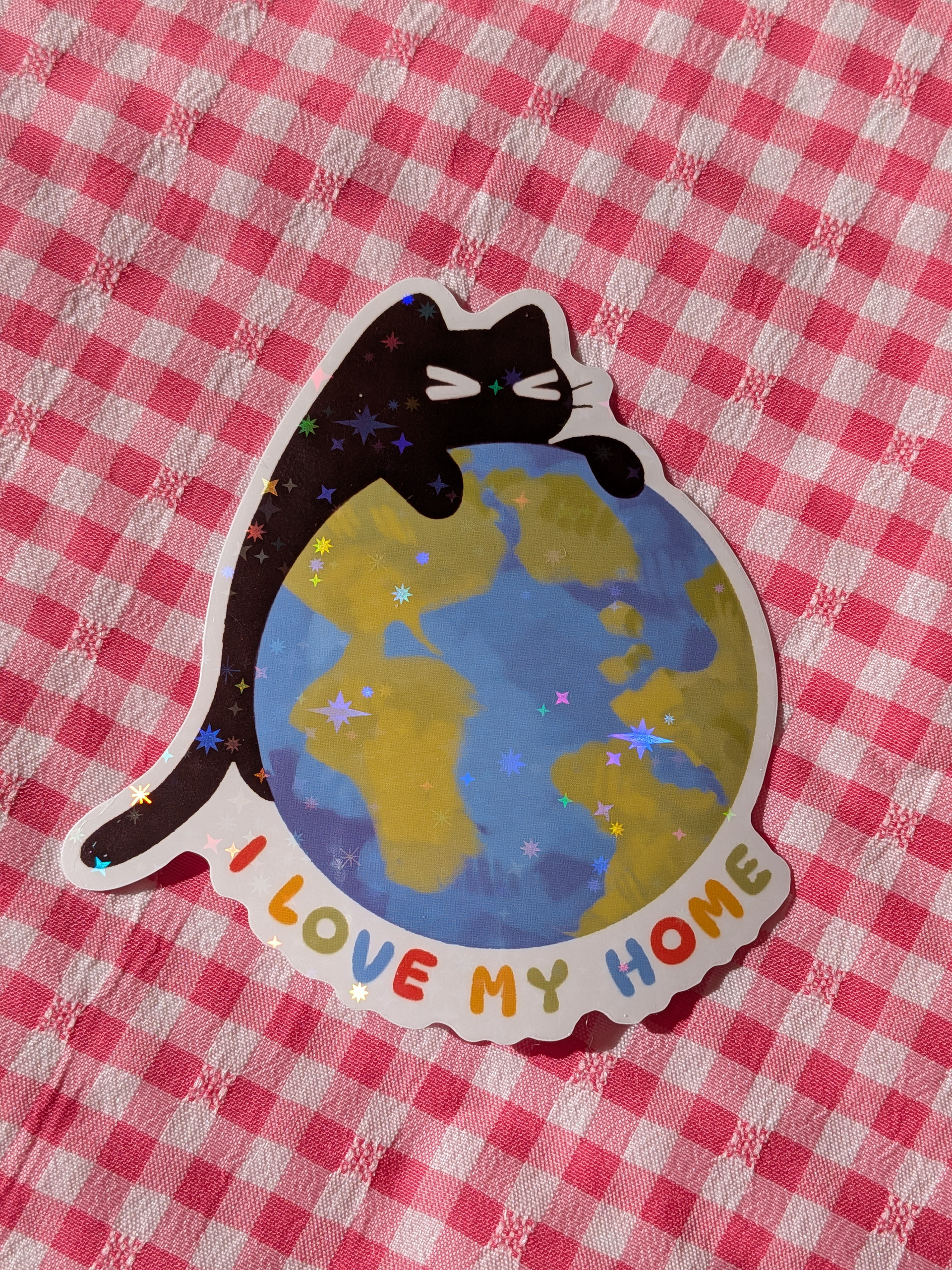 Earth Cat Holographic Sticker