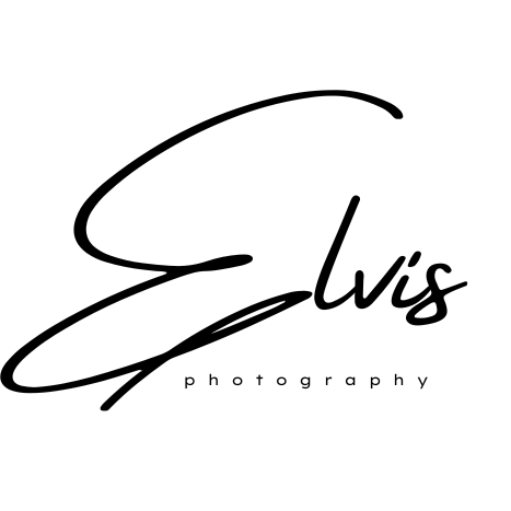 Eelvisb