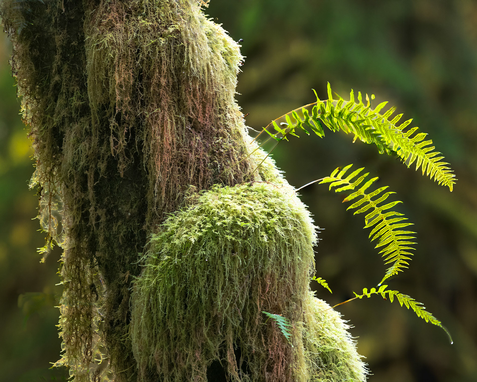 L: one of best, maybe wall