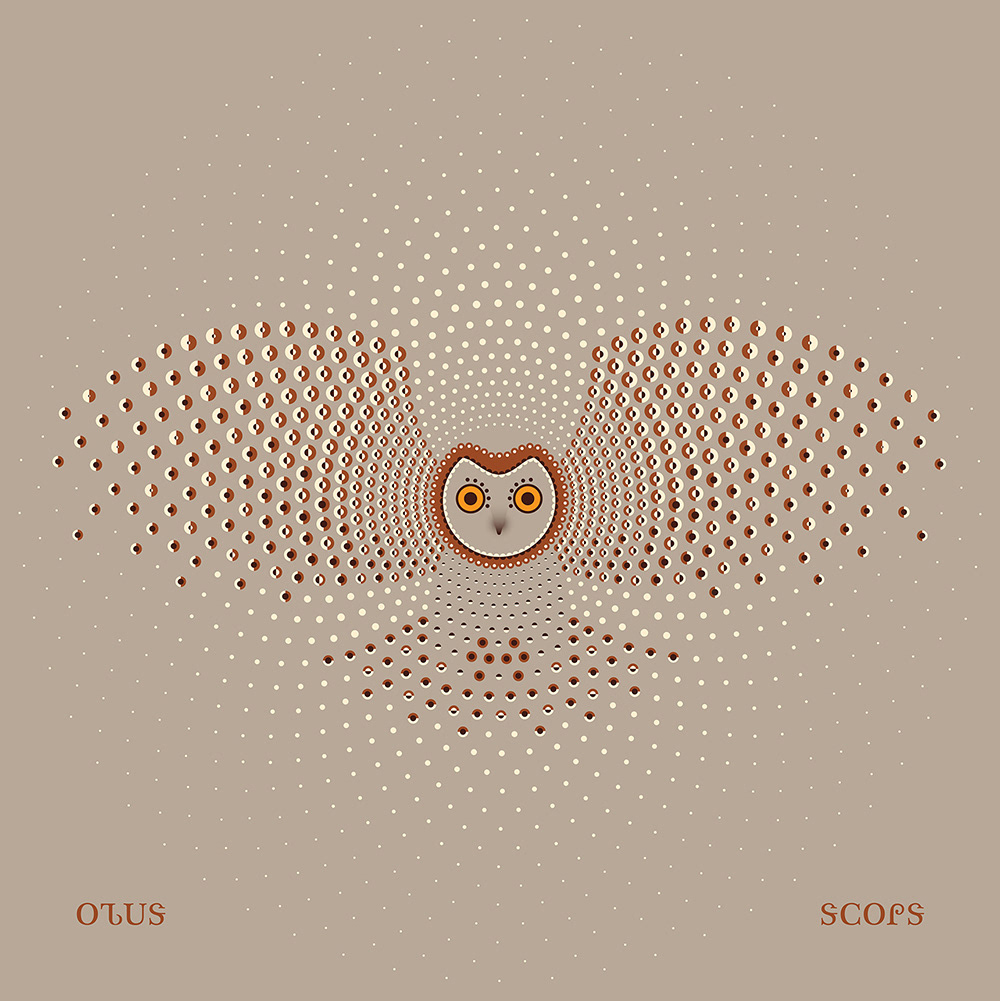 Otus Scops