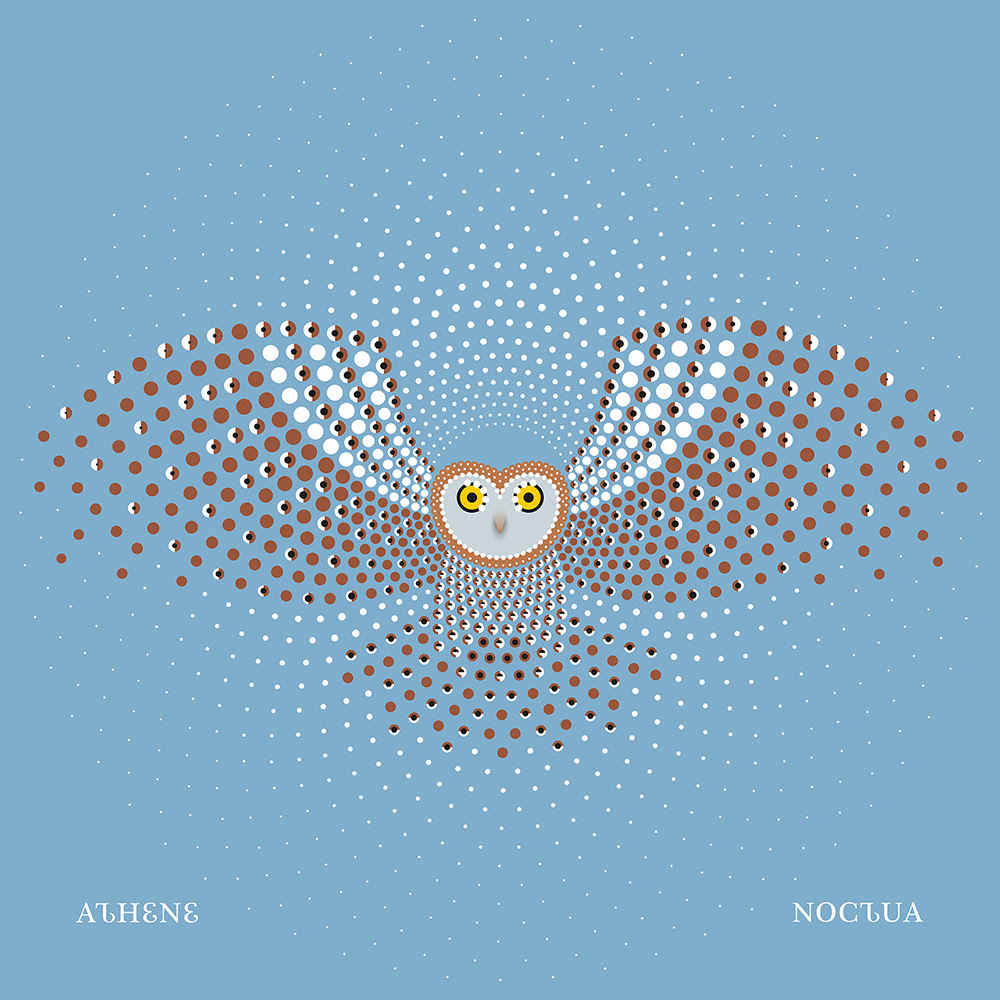Athene Noctua