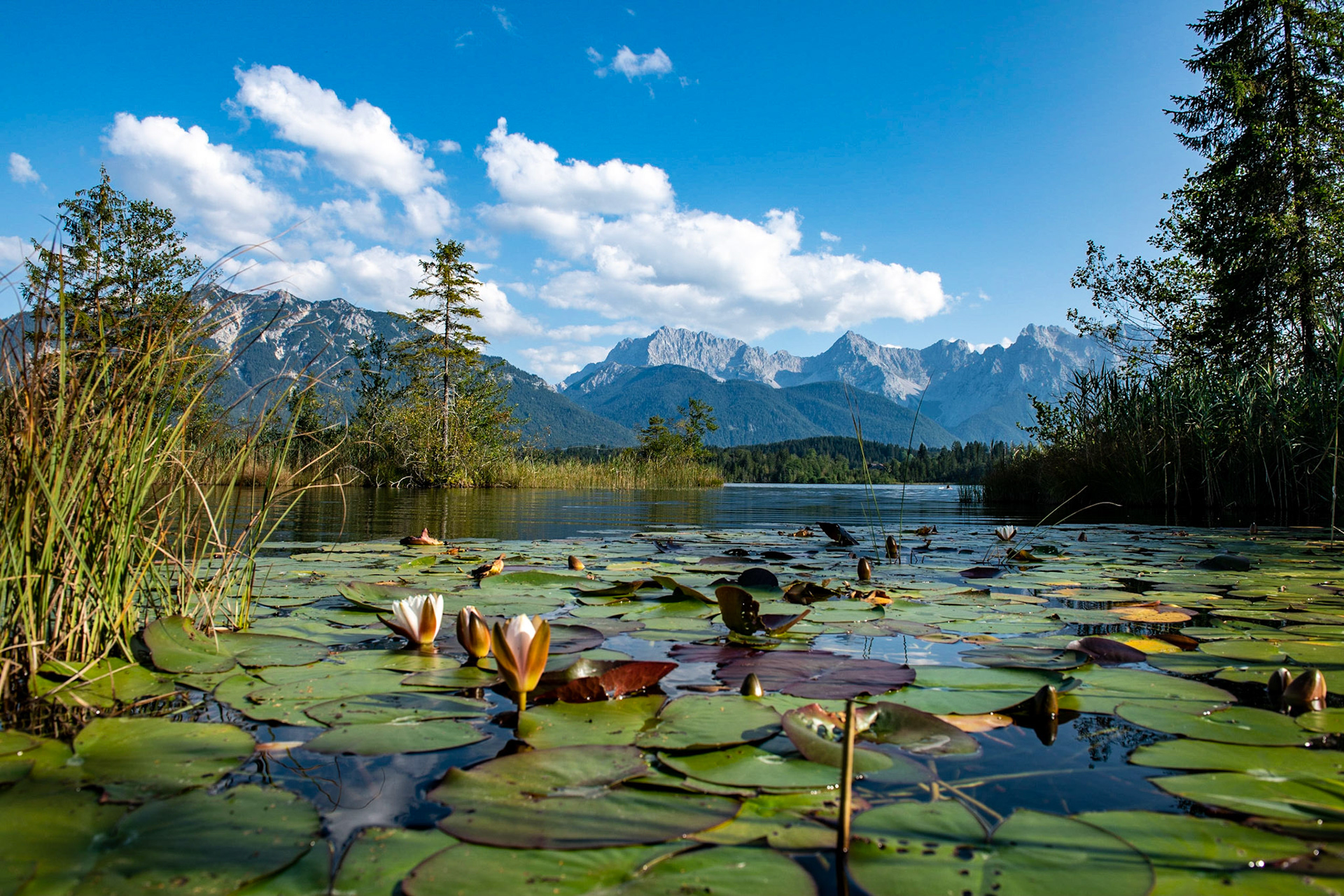 Barmsee