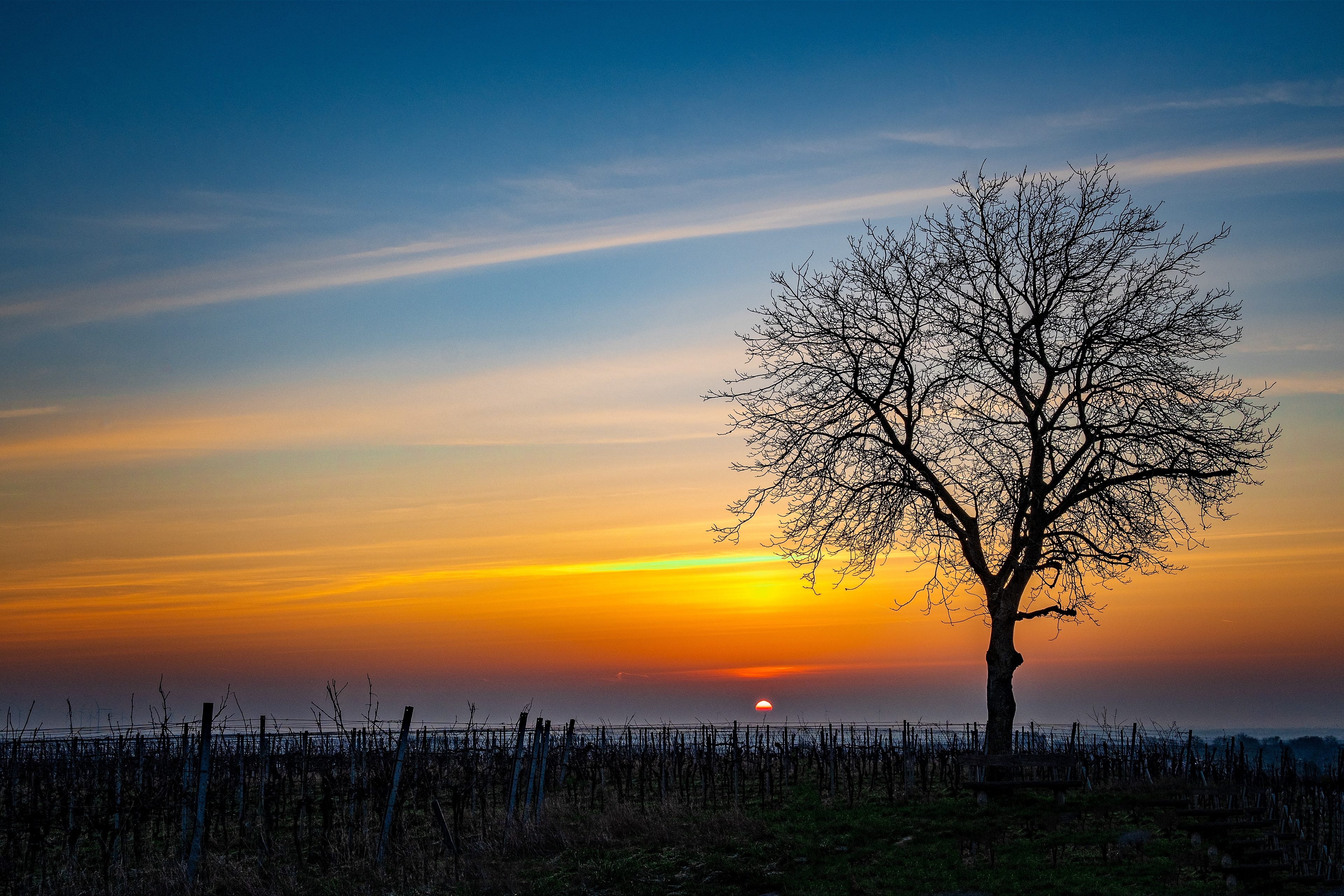 Projekt 6: Sonnenaufgang