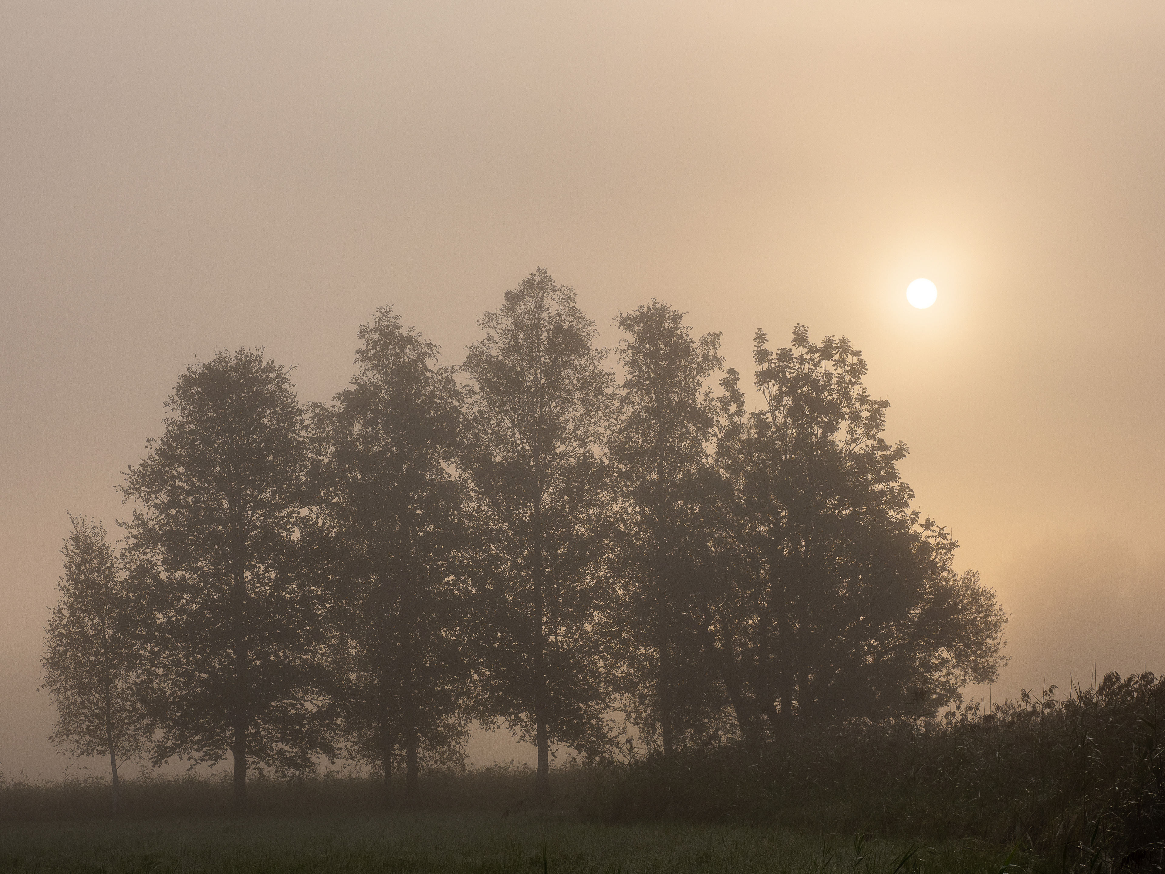 Tag 103: Nebel und Dunst