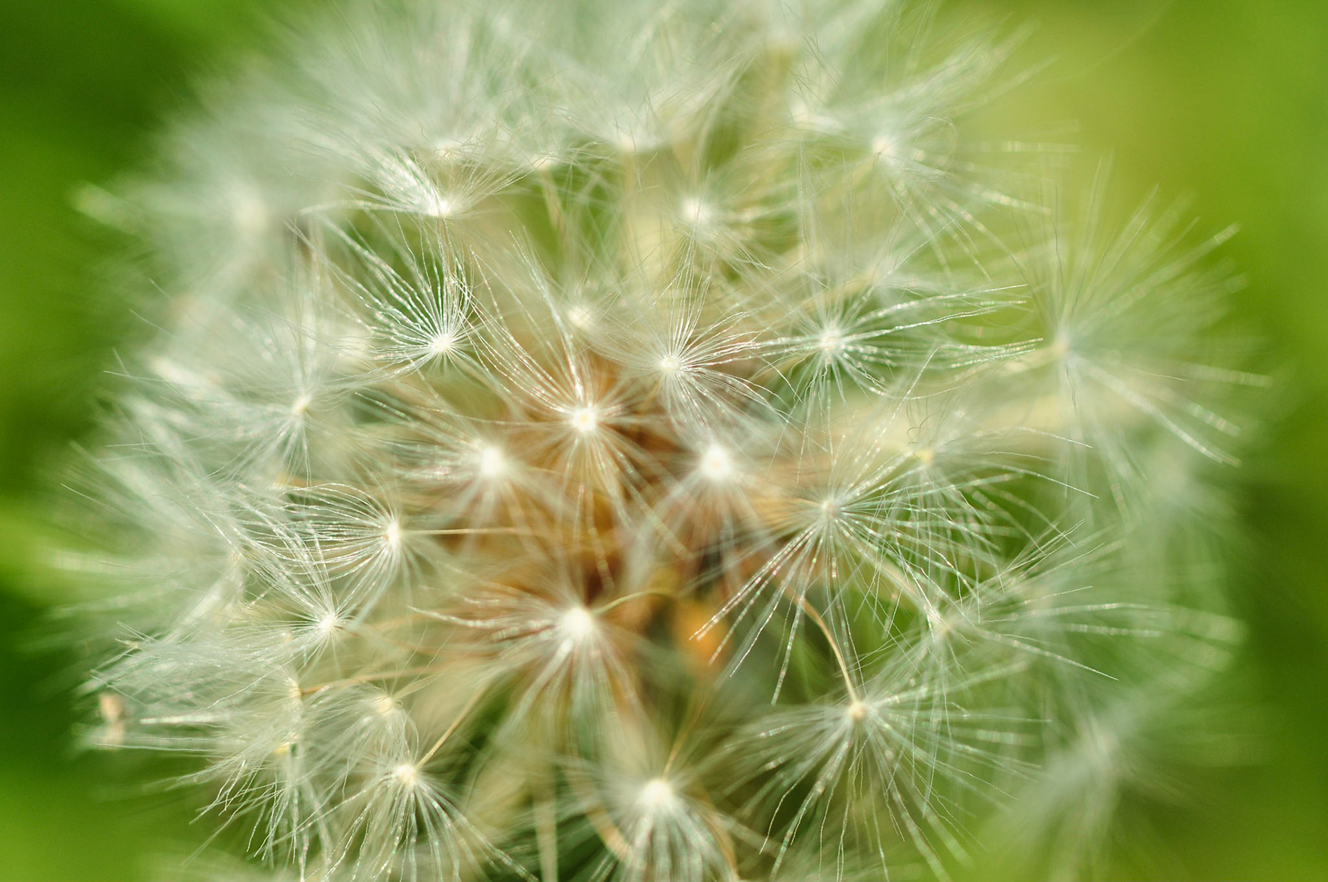 Aufgabe 6: Makro