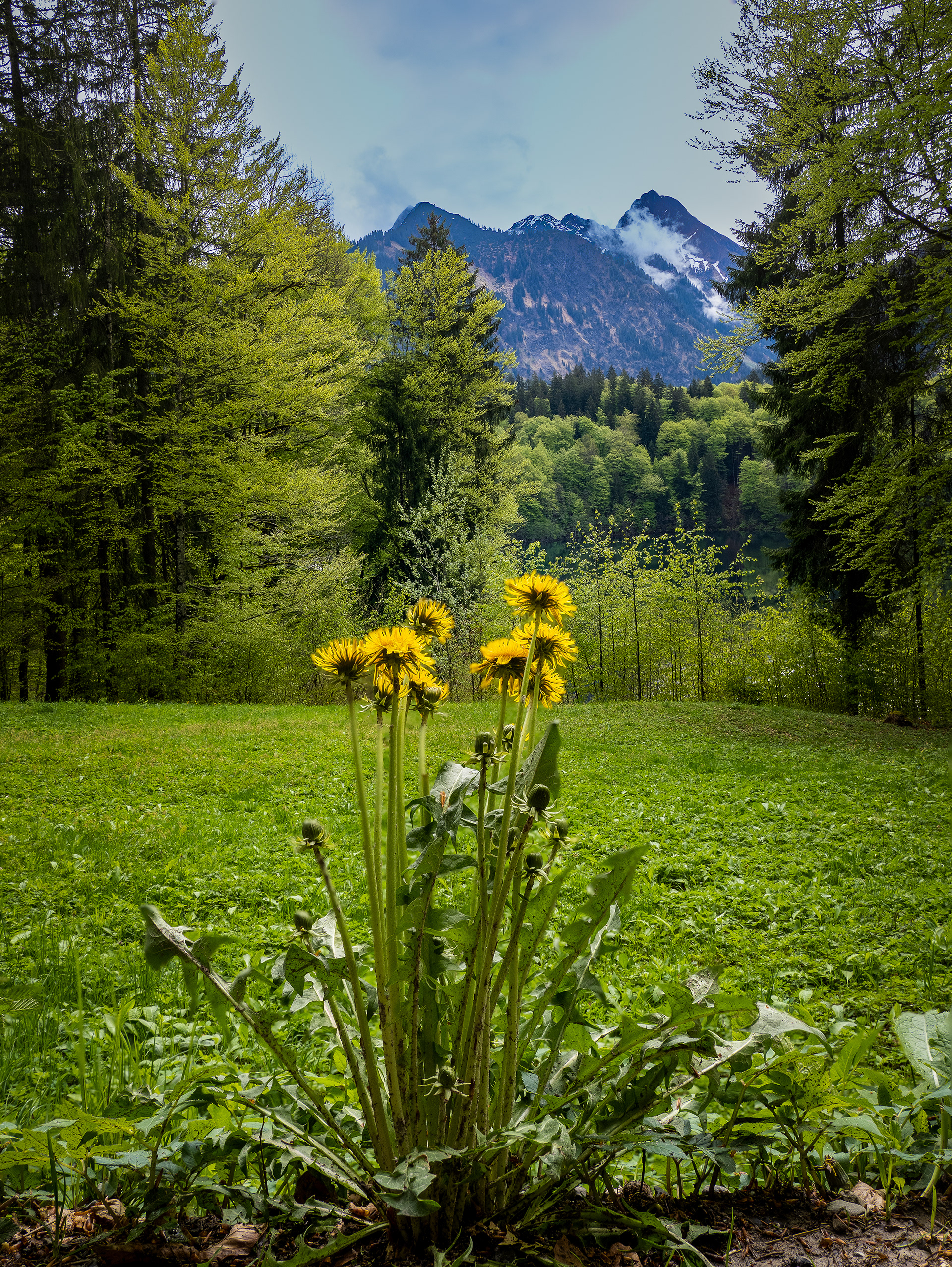 Projekt 19: Aus der Hand fotografieren