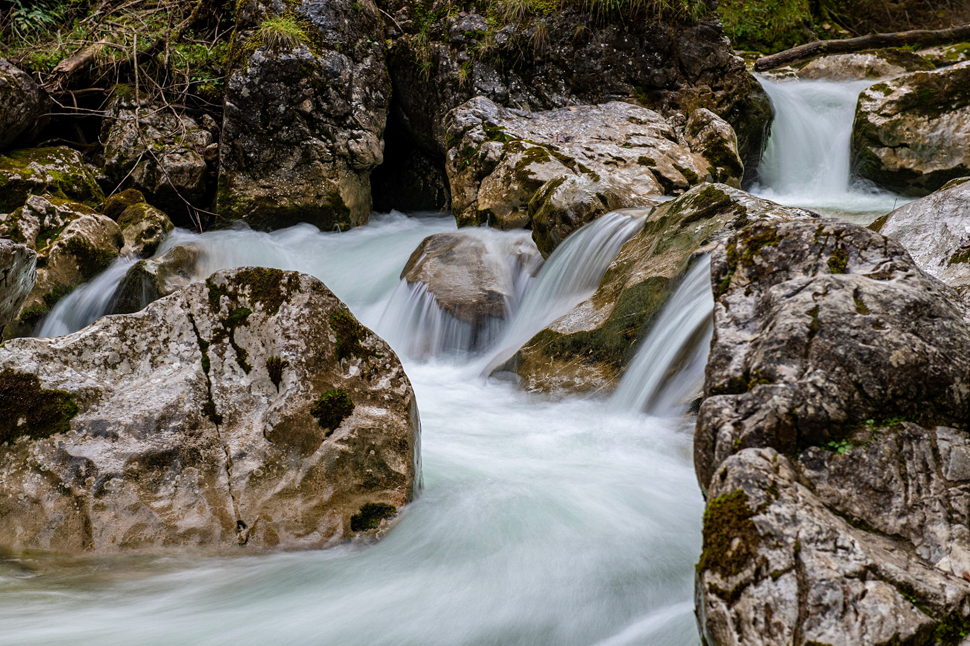 Zauberwald am Hintersee