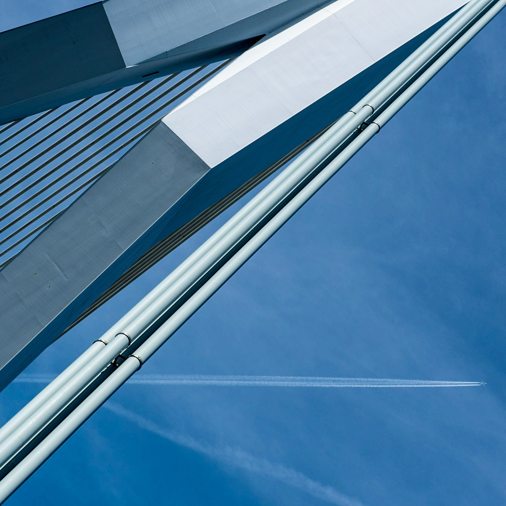 Erasmusbrücke in Rotterdam