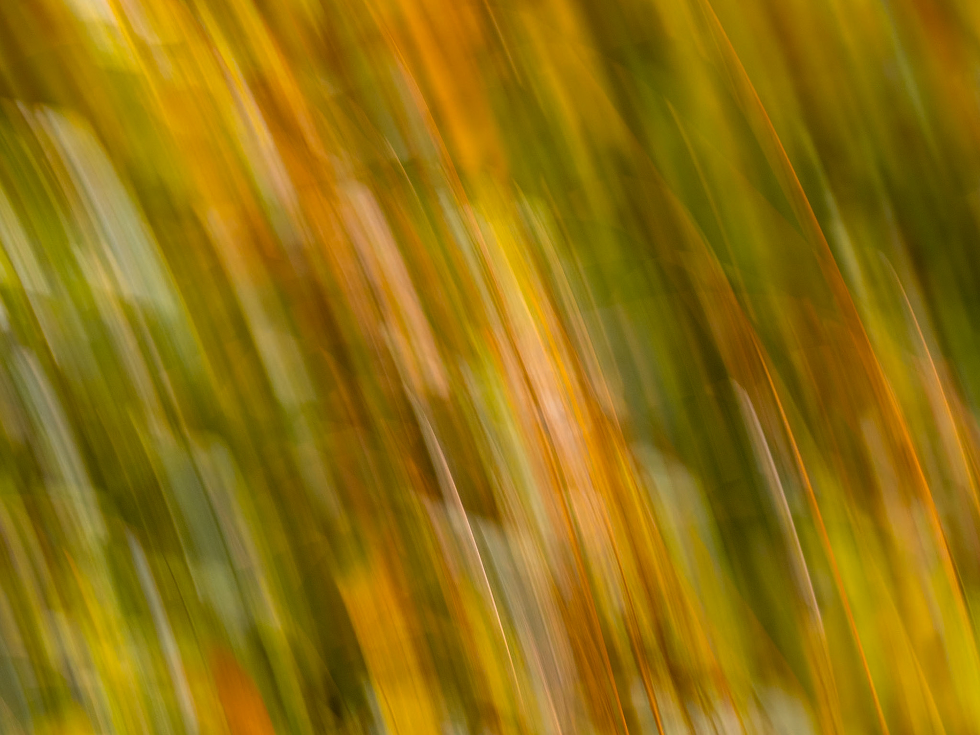 Projekt 48 - Gezielte Kamerabewegung