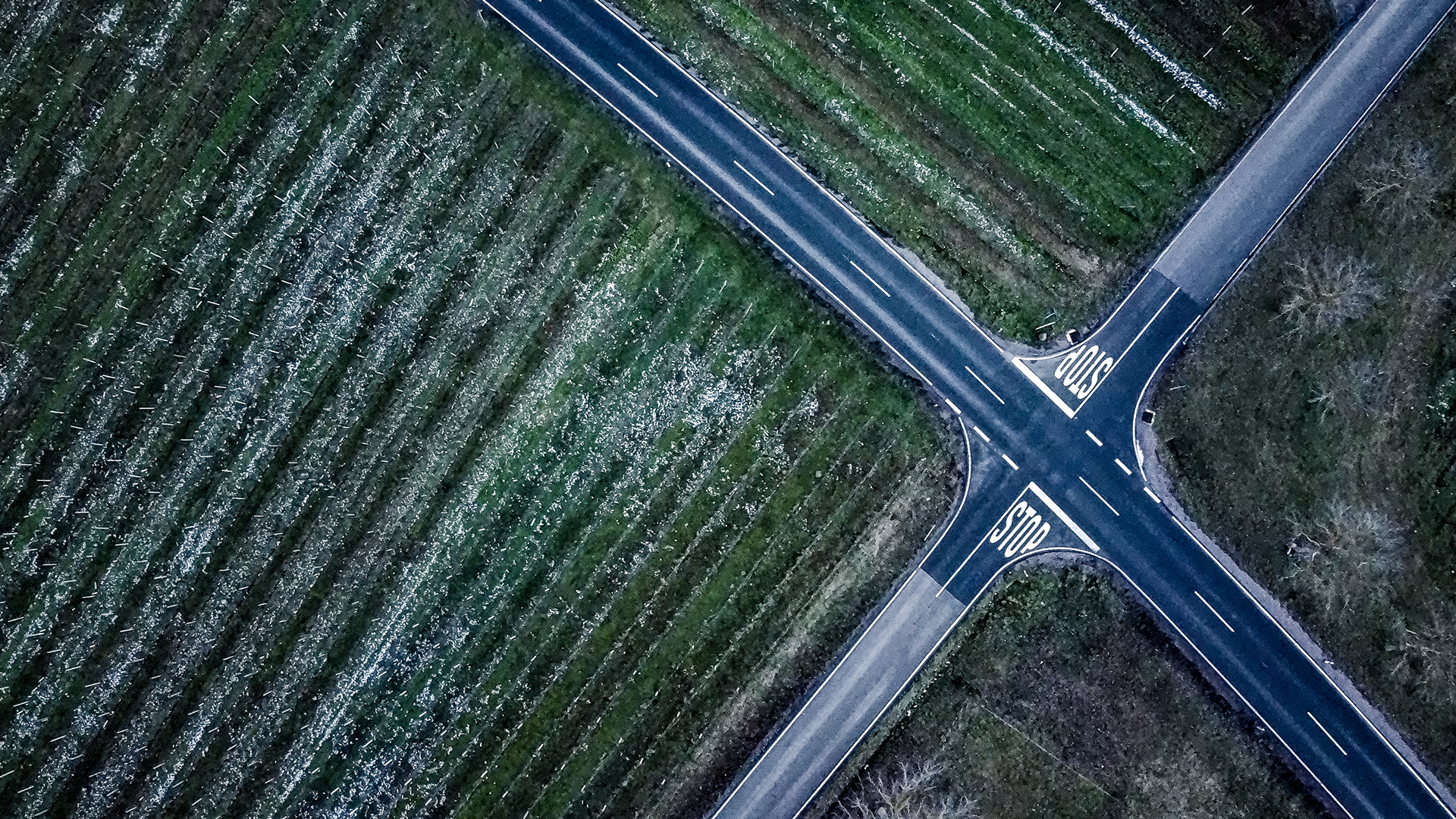 Tag 18: die Suche nach dem Kreuz
