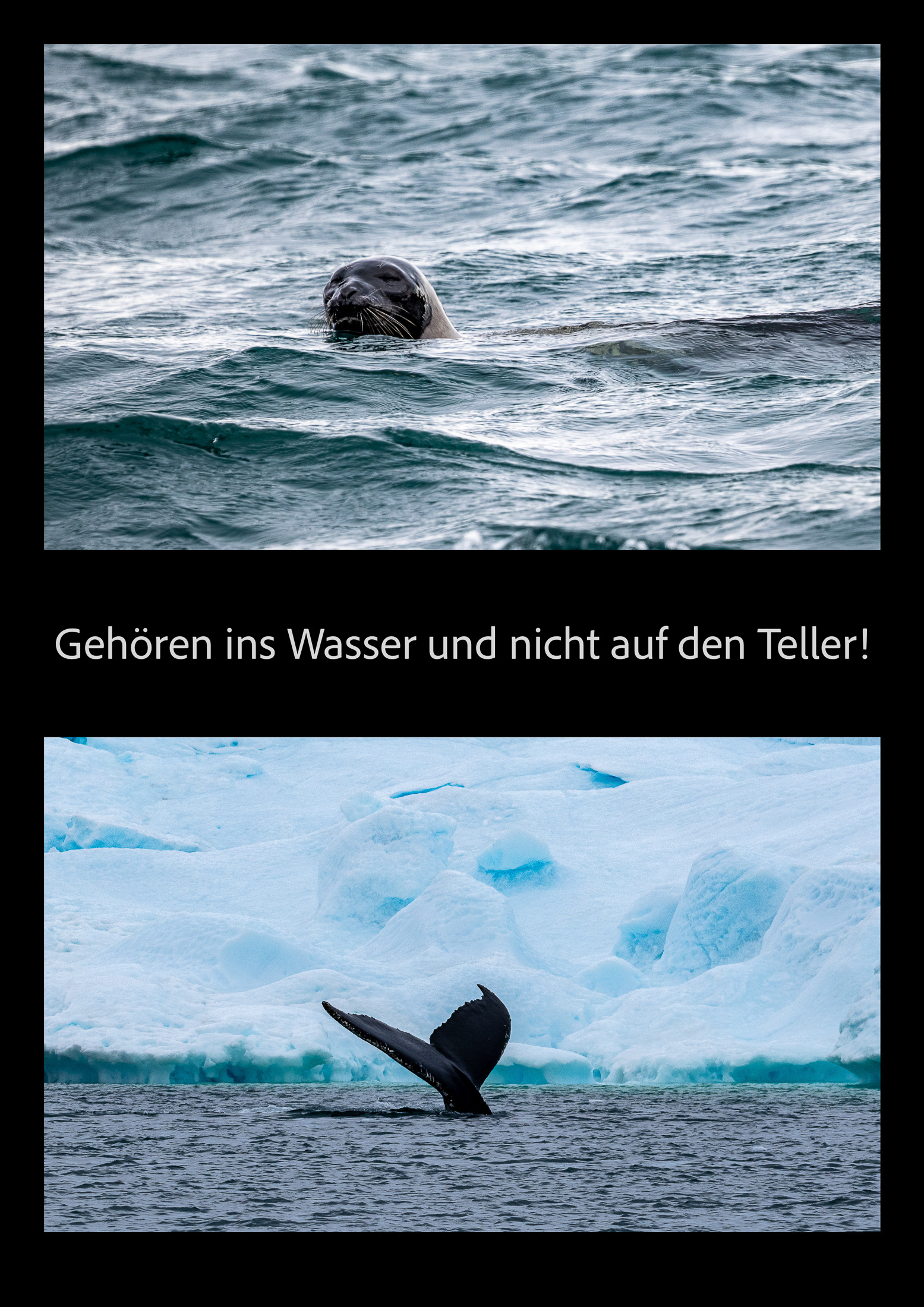 6. Ich bin dagegen