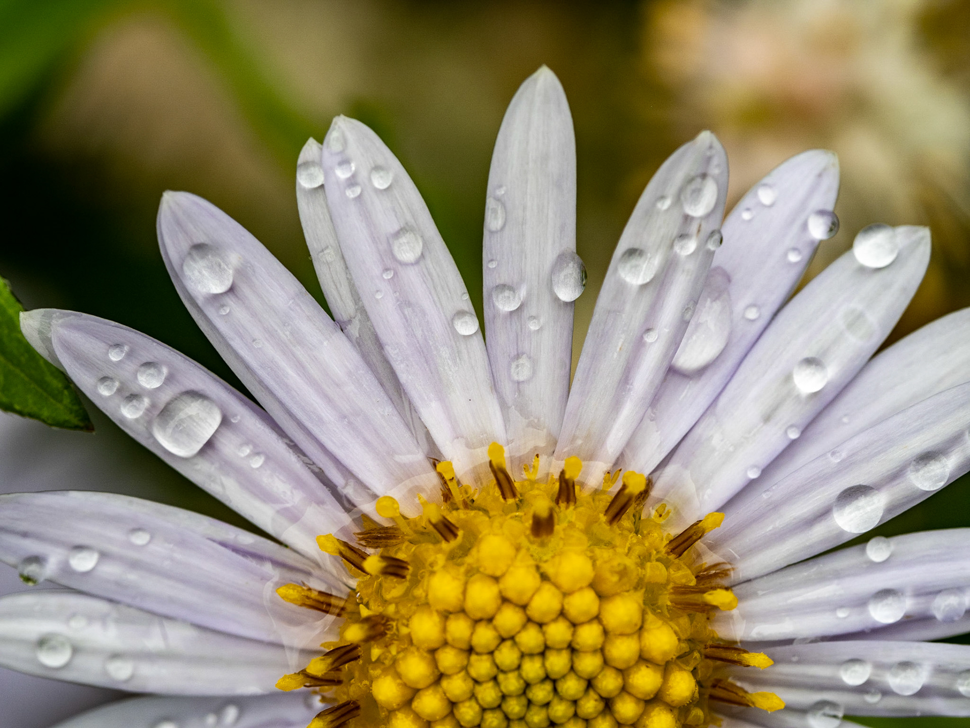 Botanischer Garten Augsburg
