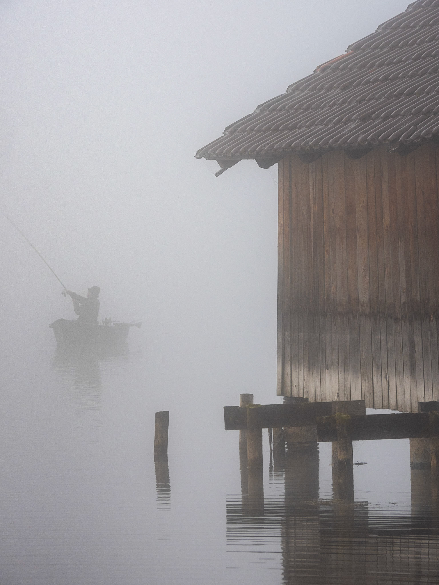 Morgennebel am Kochelsee