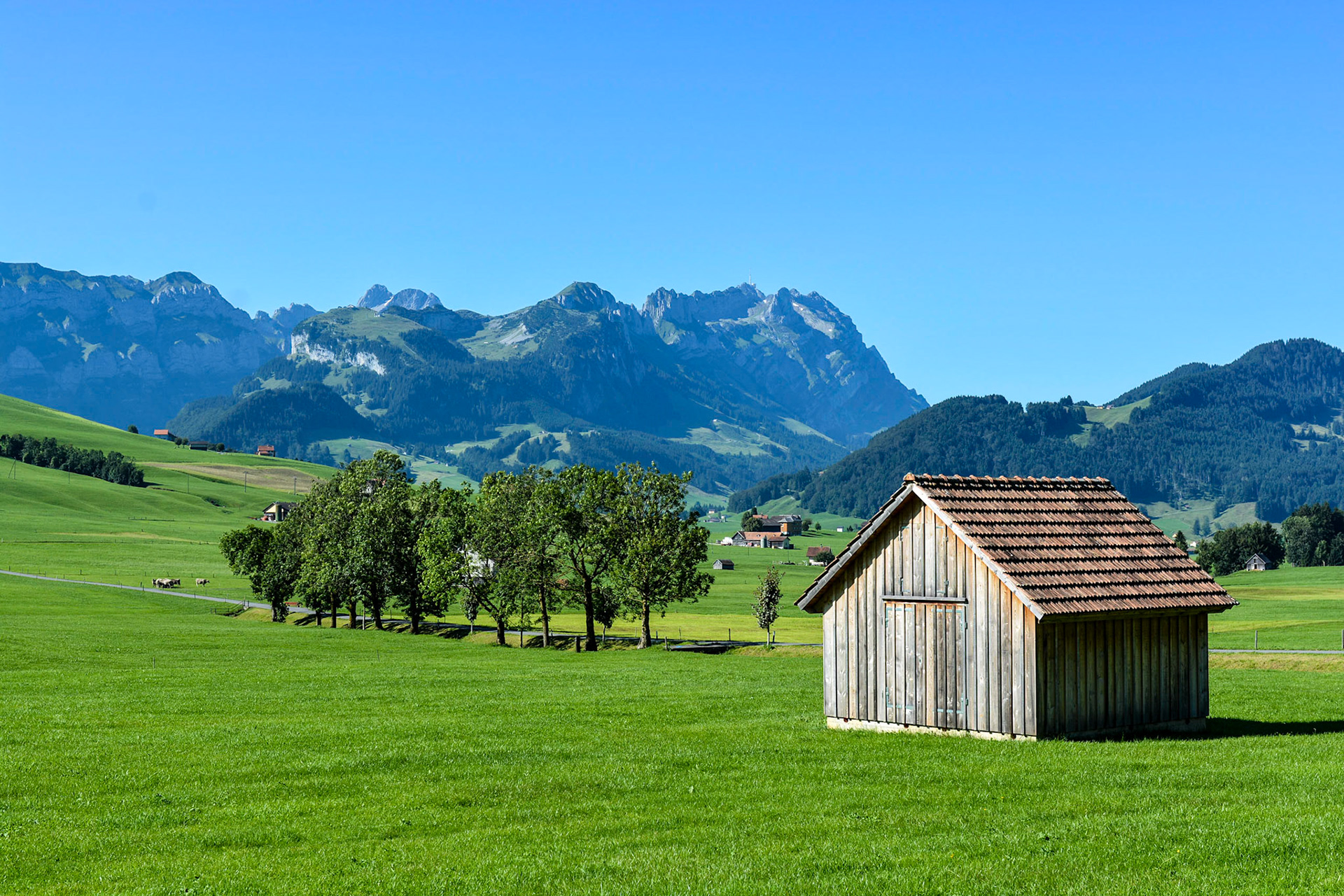 Appenzeller Land